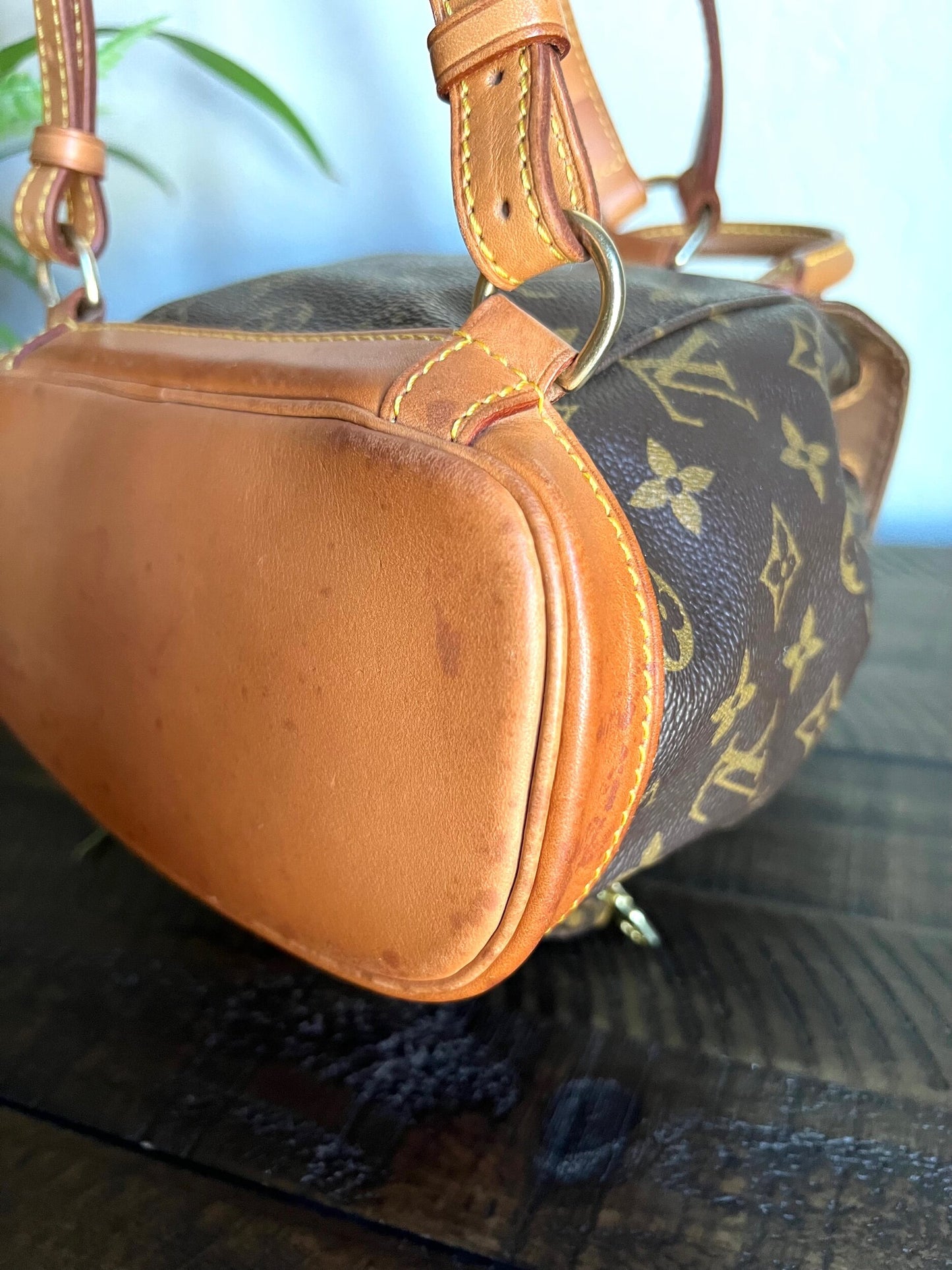 Montsouris PM aka Mini Monogram Canvas Backpack