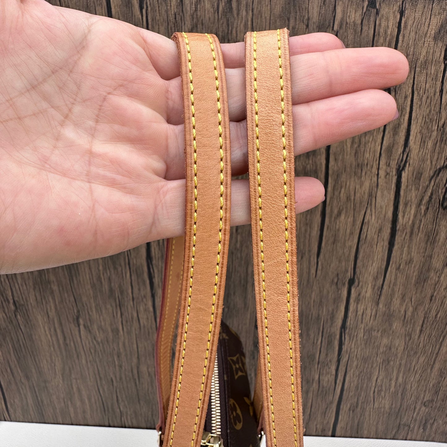 Louis Vuitton Sac Coussin GM Monogram Canvas
