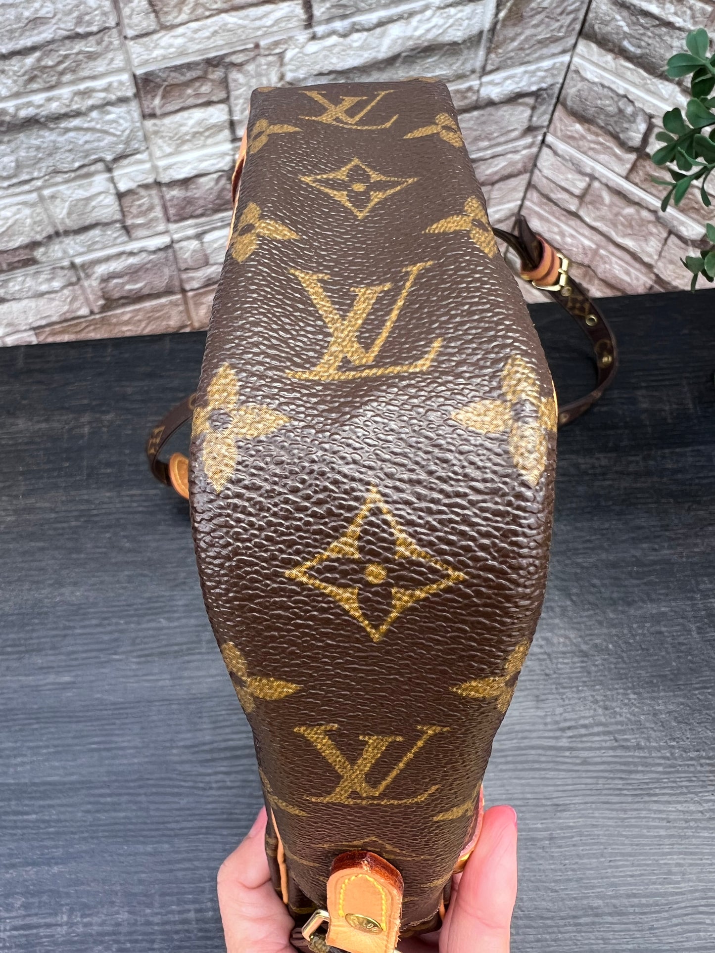 Danube PM Crossbody Monogram Canvas