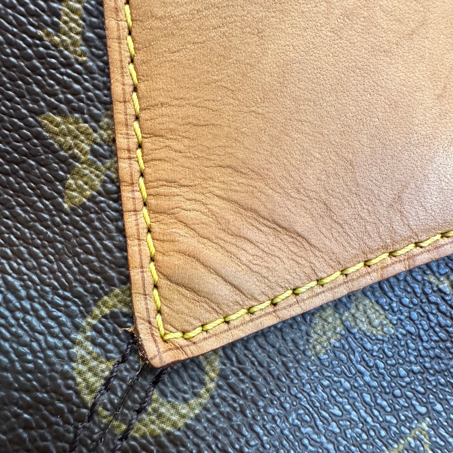 Cabas Alto Monogram Canvas