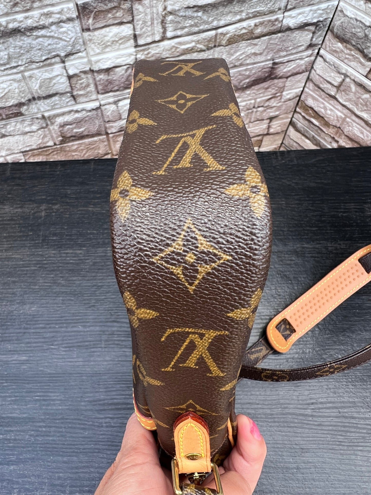 Danube PM Crossbody Monogram Canvas