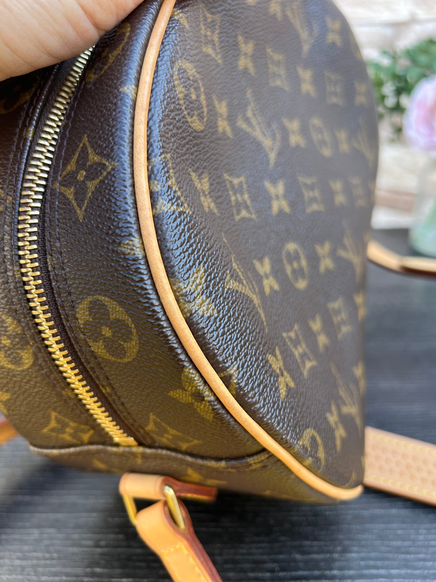 Blois Monogram Crossbody Bag