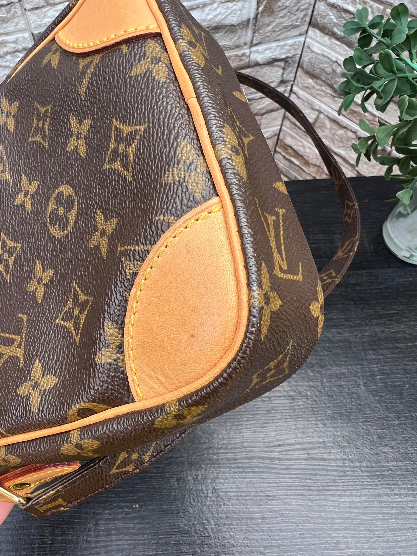 Danube PM Crossbody Monogram Canvas