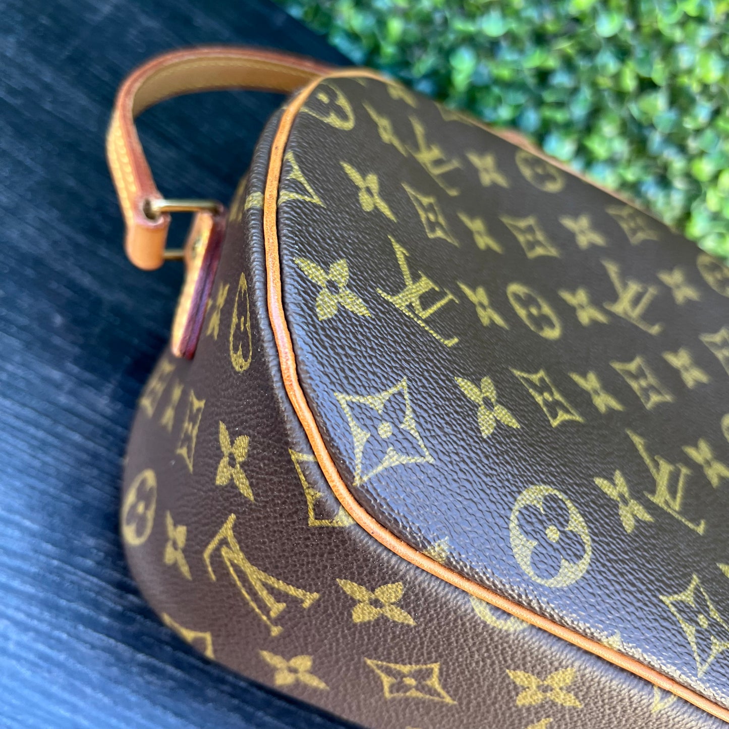 Blois Monogram Canvas Bag