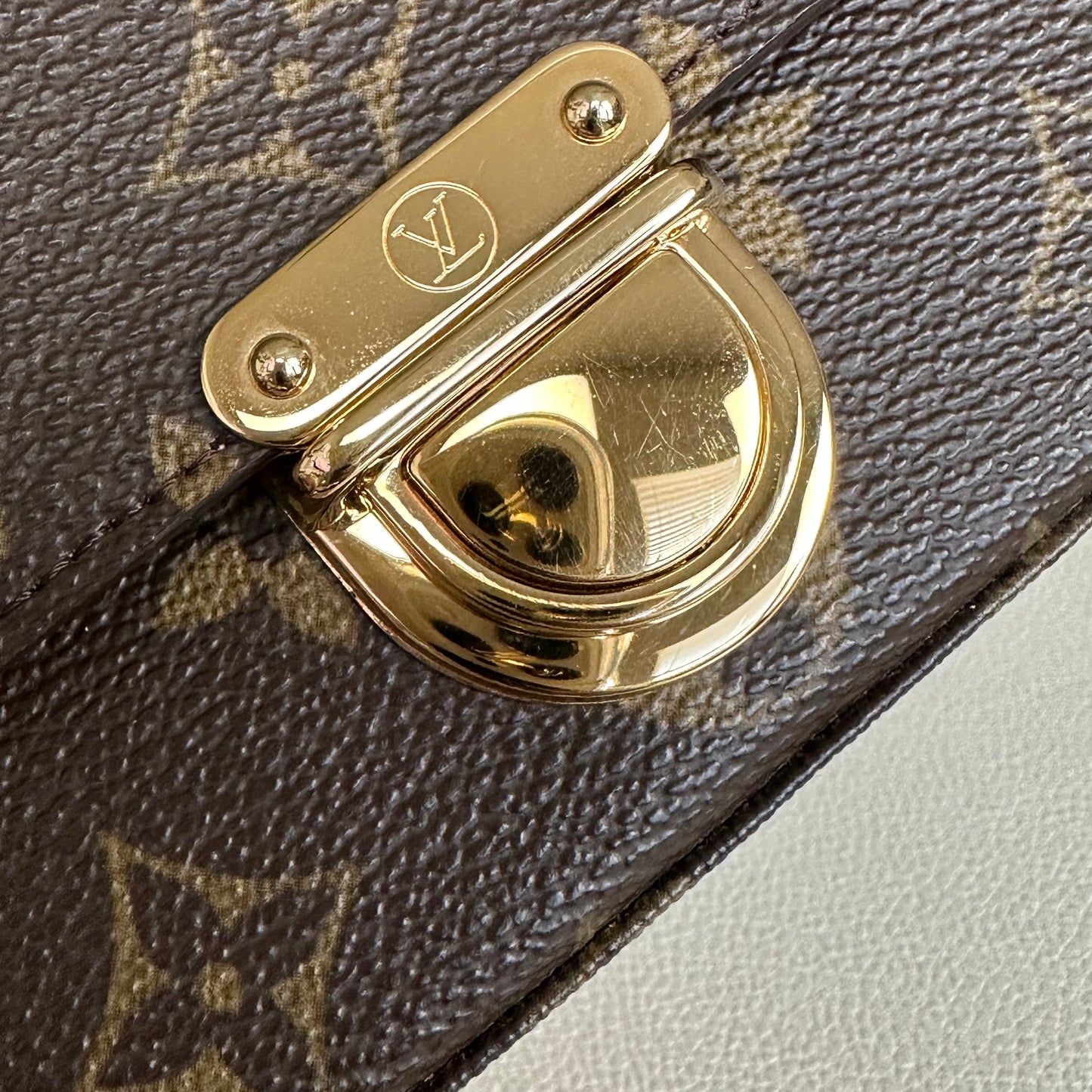 Lagoon Clutch Monogram Pochette Case