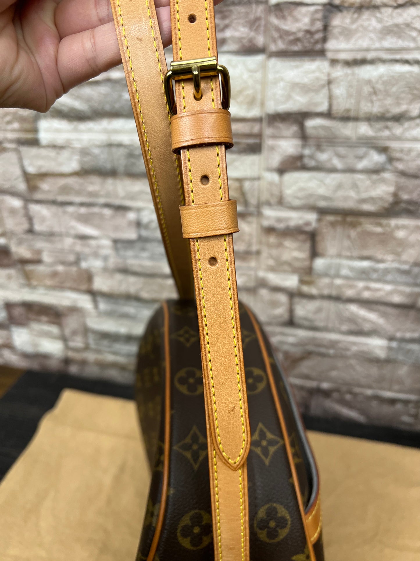 Blois Monogram Crossbody Bag