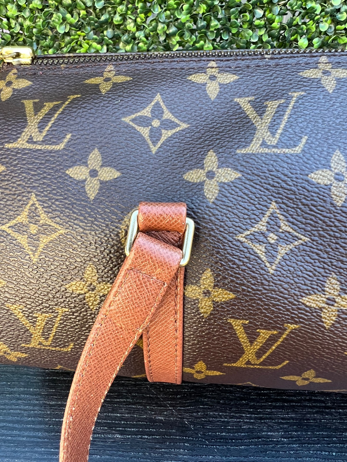 Papillon 30 Bag Monogram