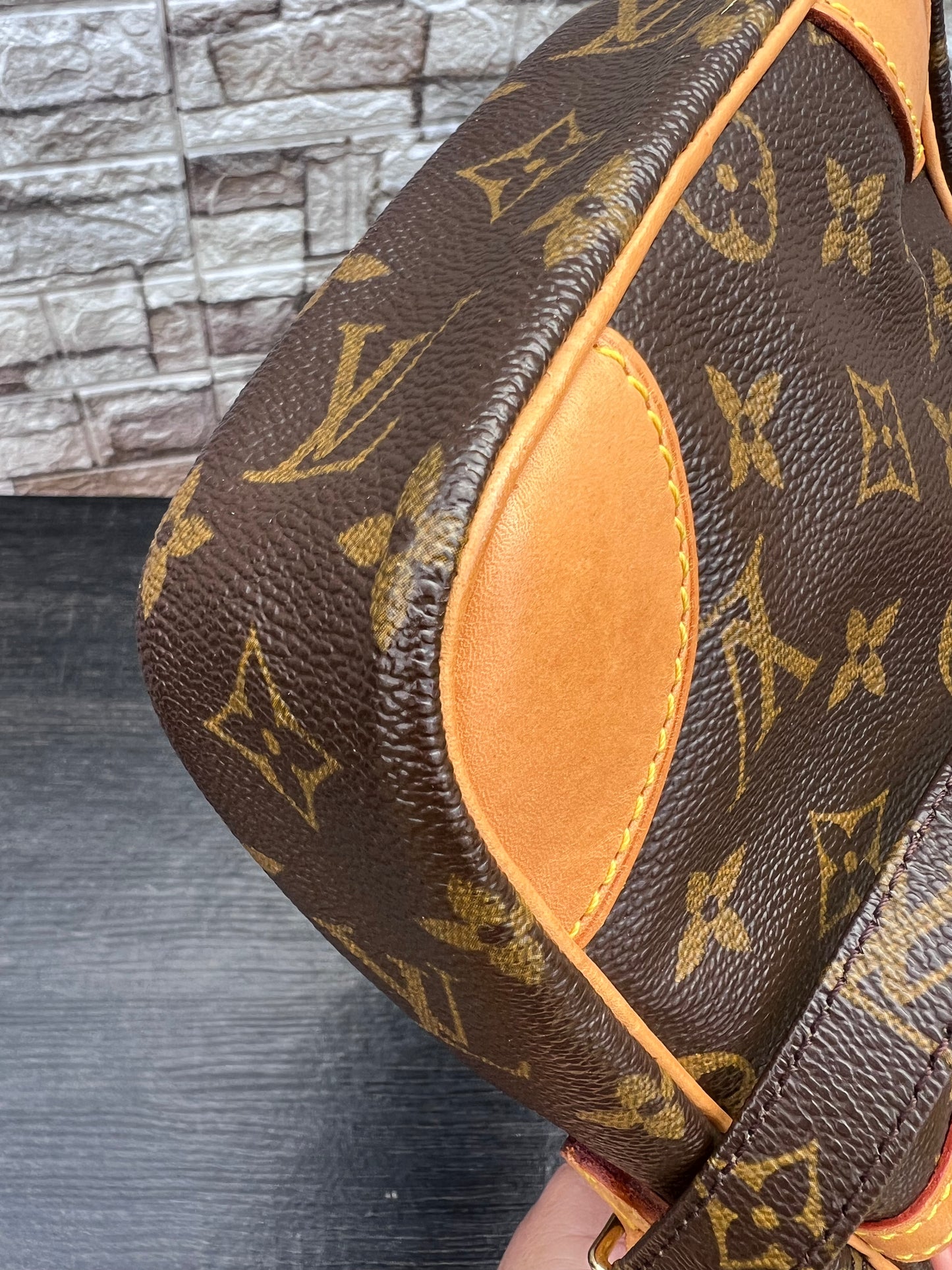 Danube PM Crossbody Monogram Canvas
