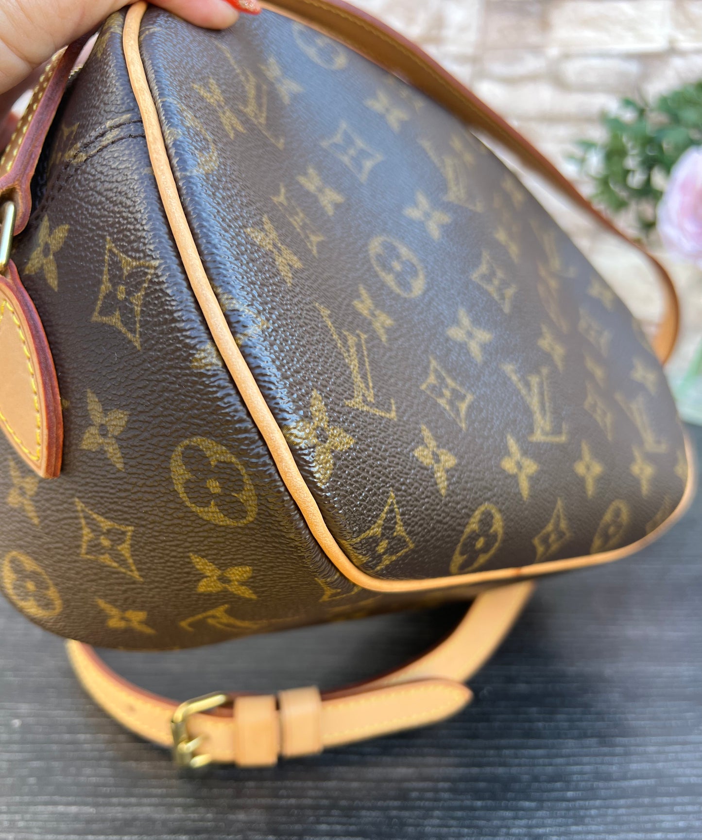 Blois Monogram Crossbody Bag