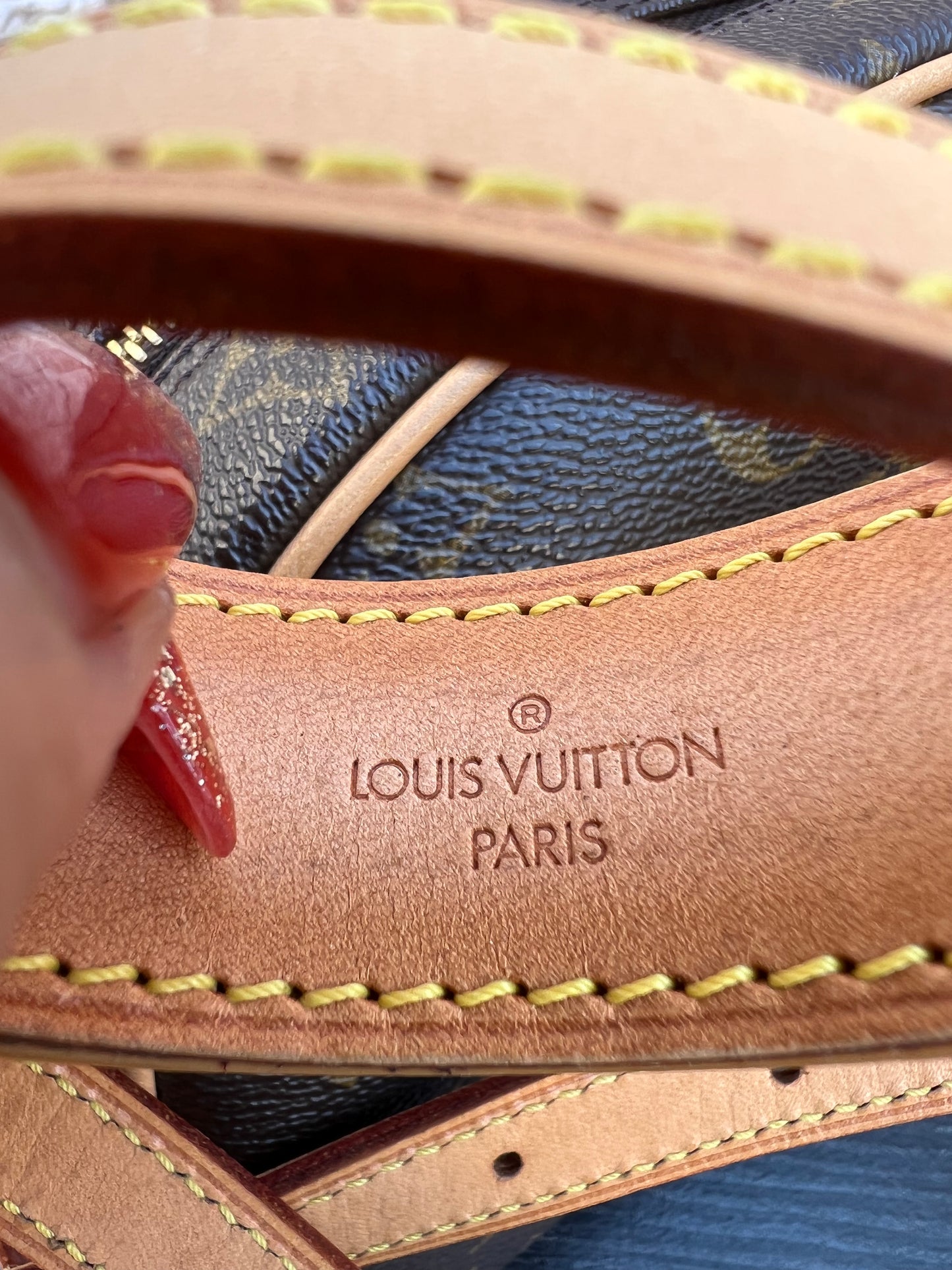 Blois Monogram Crossbody Bag