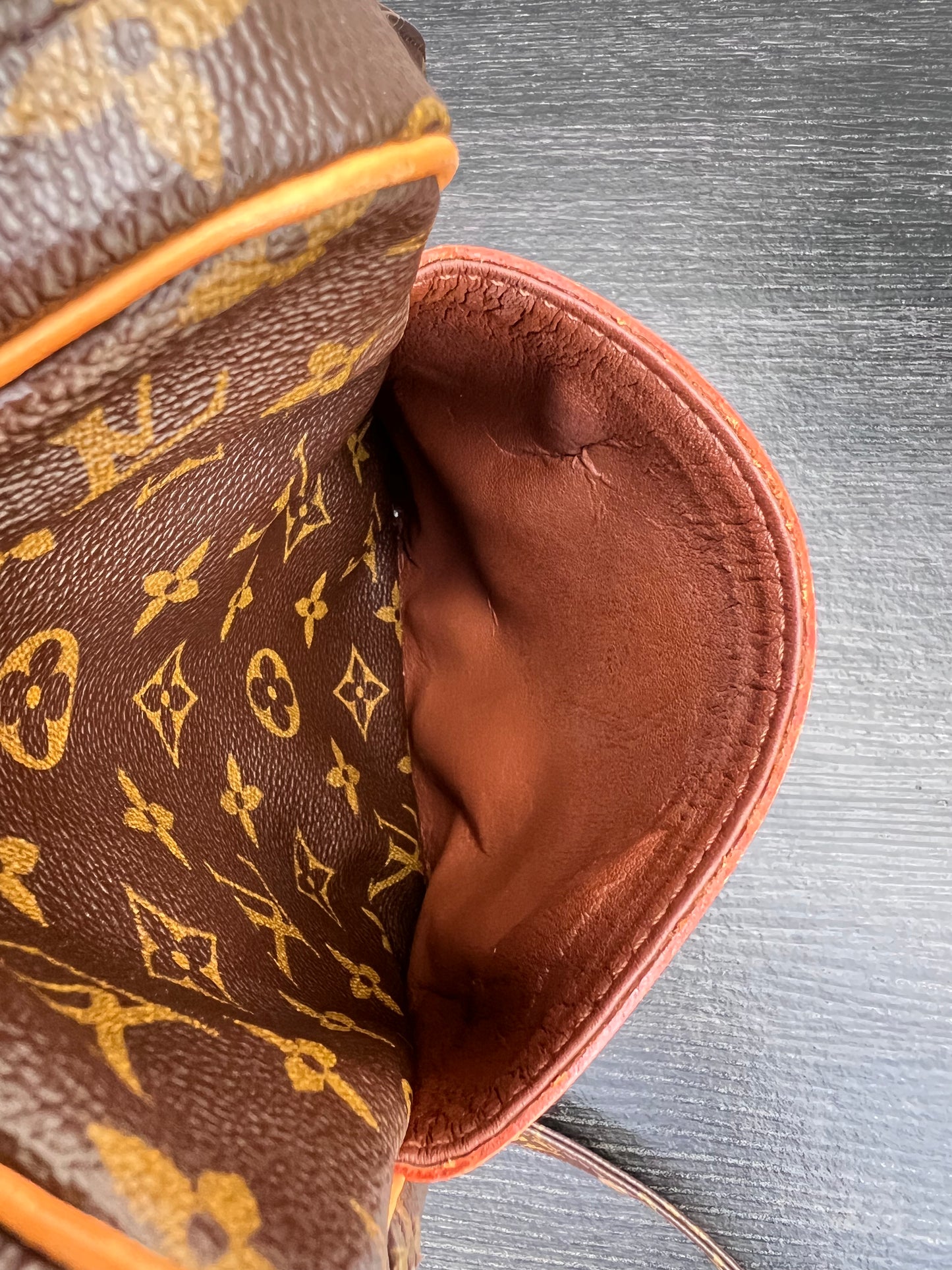 Danube PM Crossbody Monogram Canvas