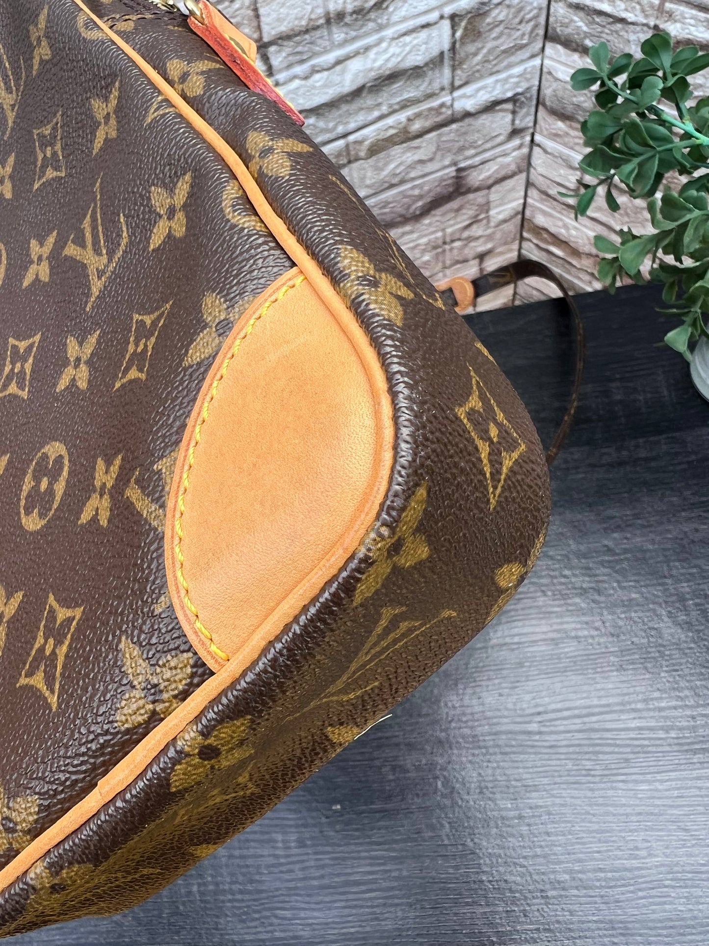 Danube PM Crossbody Monogram Canvas