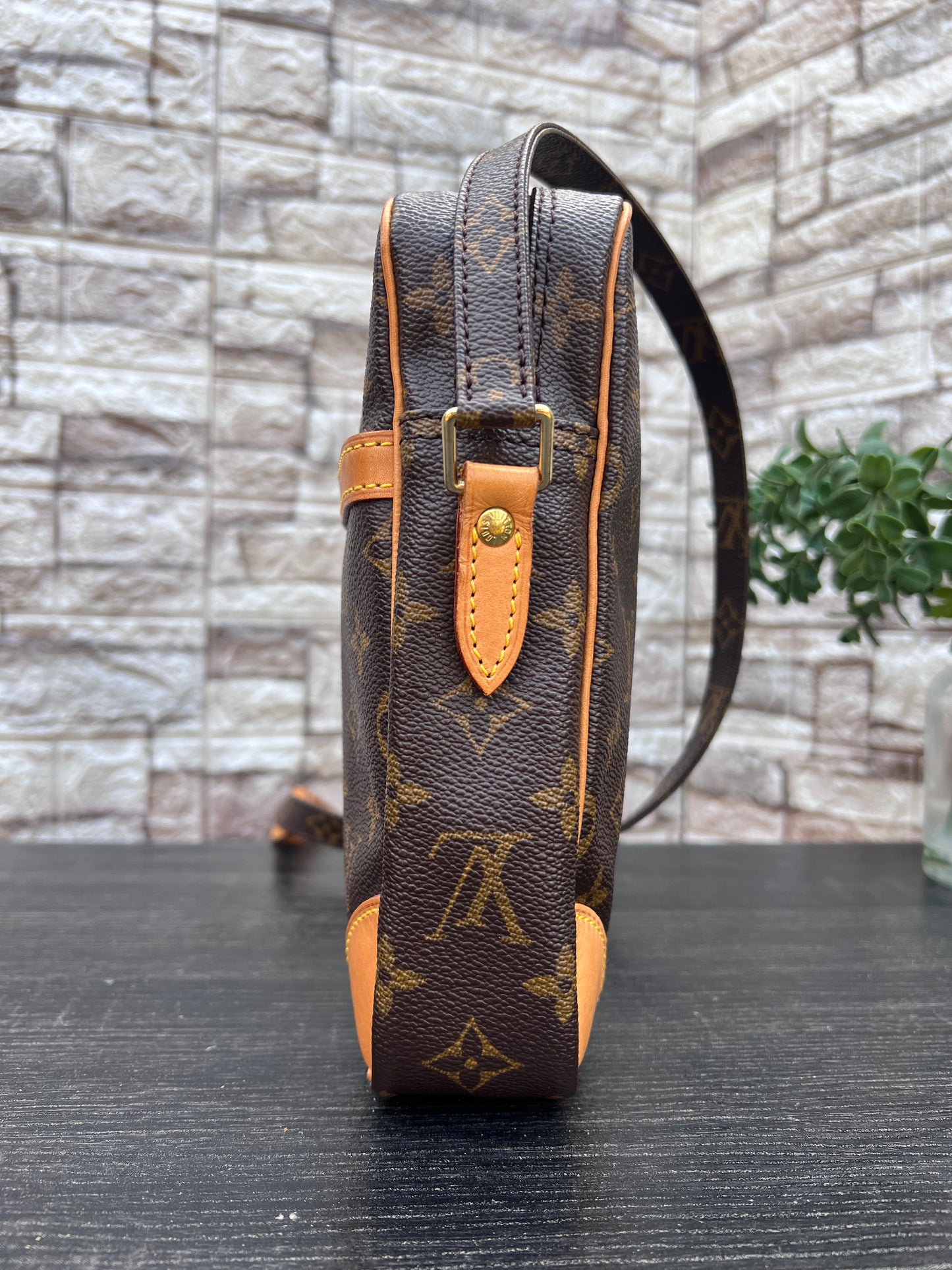 Danube PM Crossbody Monogram Canvas