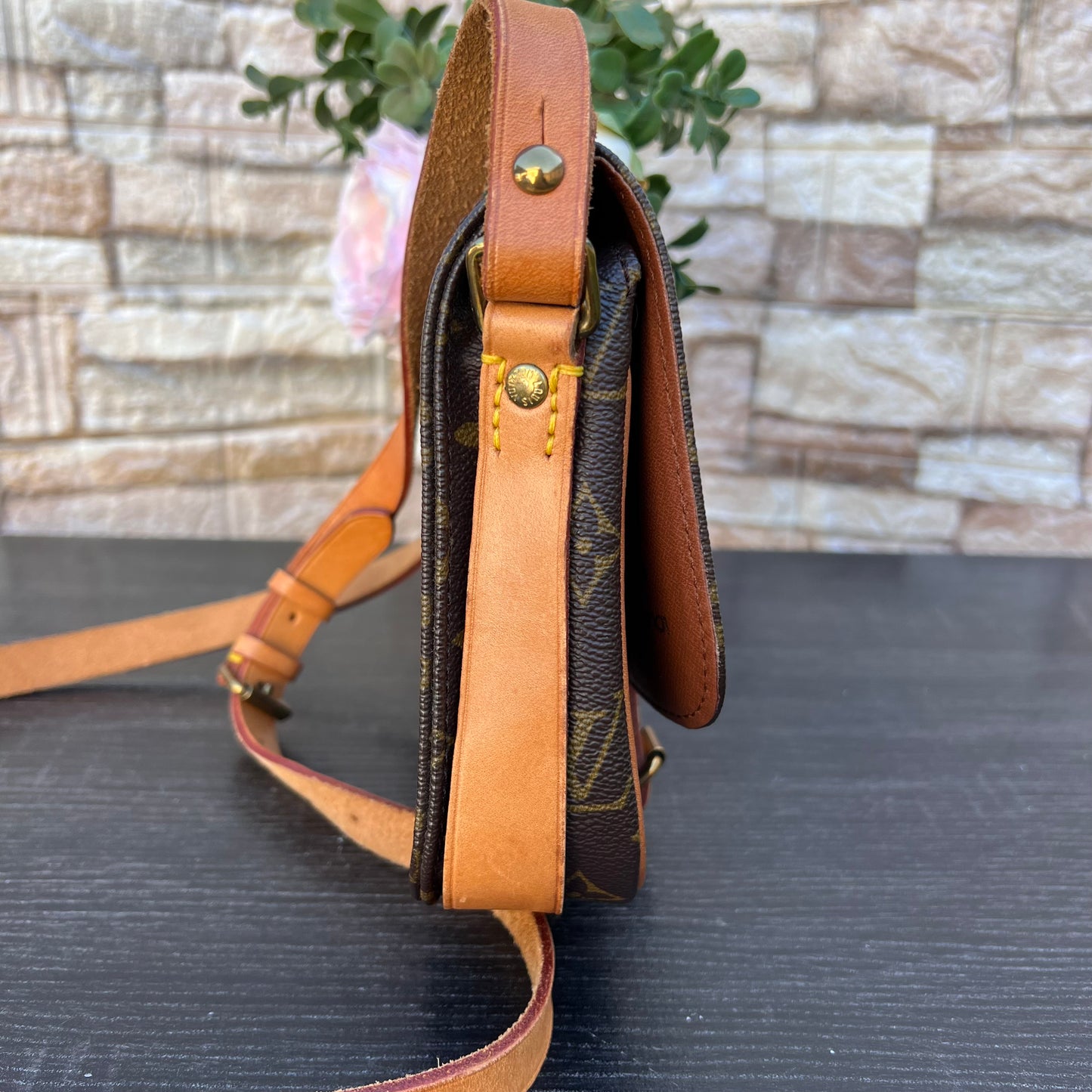 Cartouchiere PM Crossbody Bag
