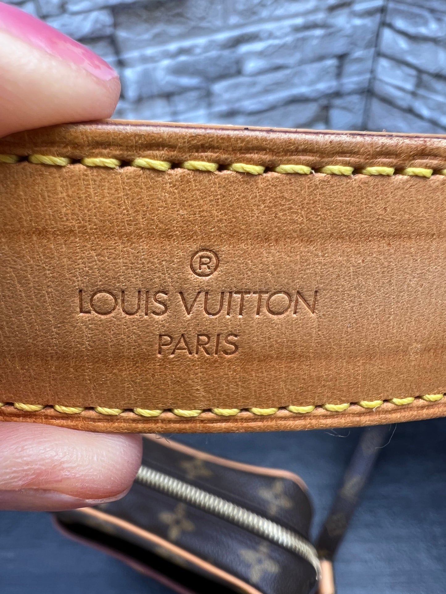 Danube PM Crossbody Monogram Canvas