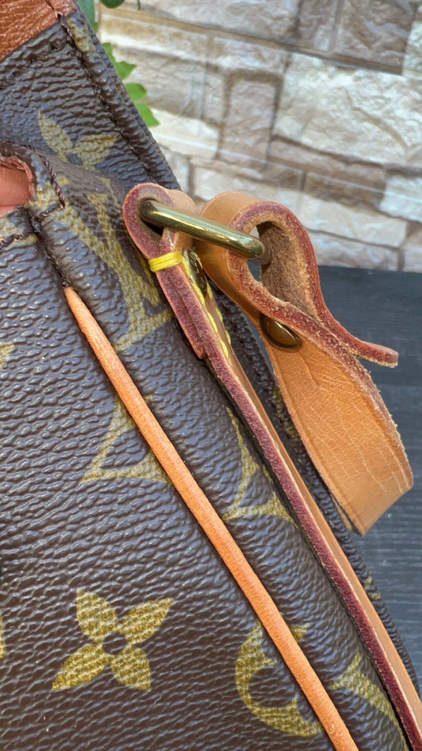 Cartouchiere PM Crossbody Bag