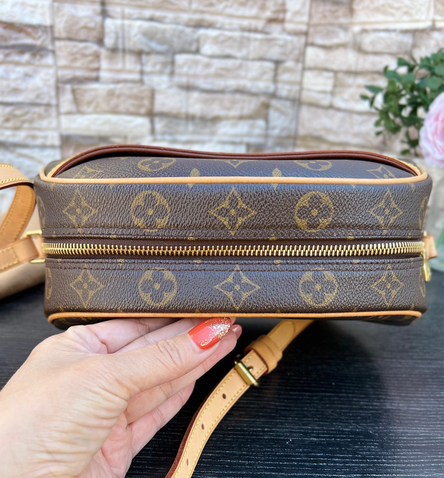 Blois Monogram Crossbody Bag