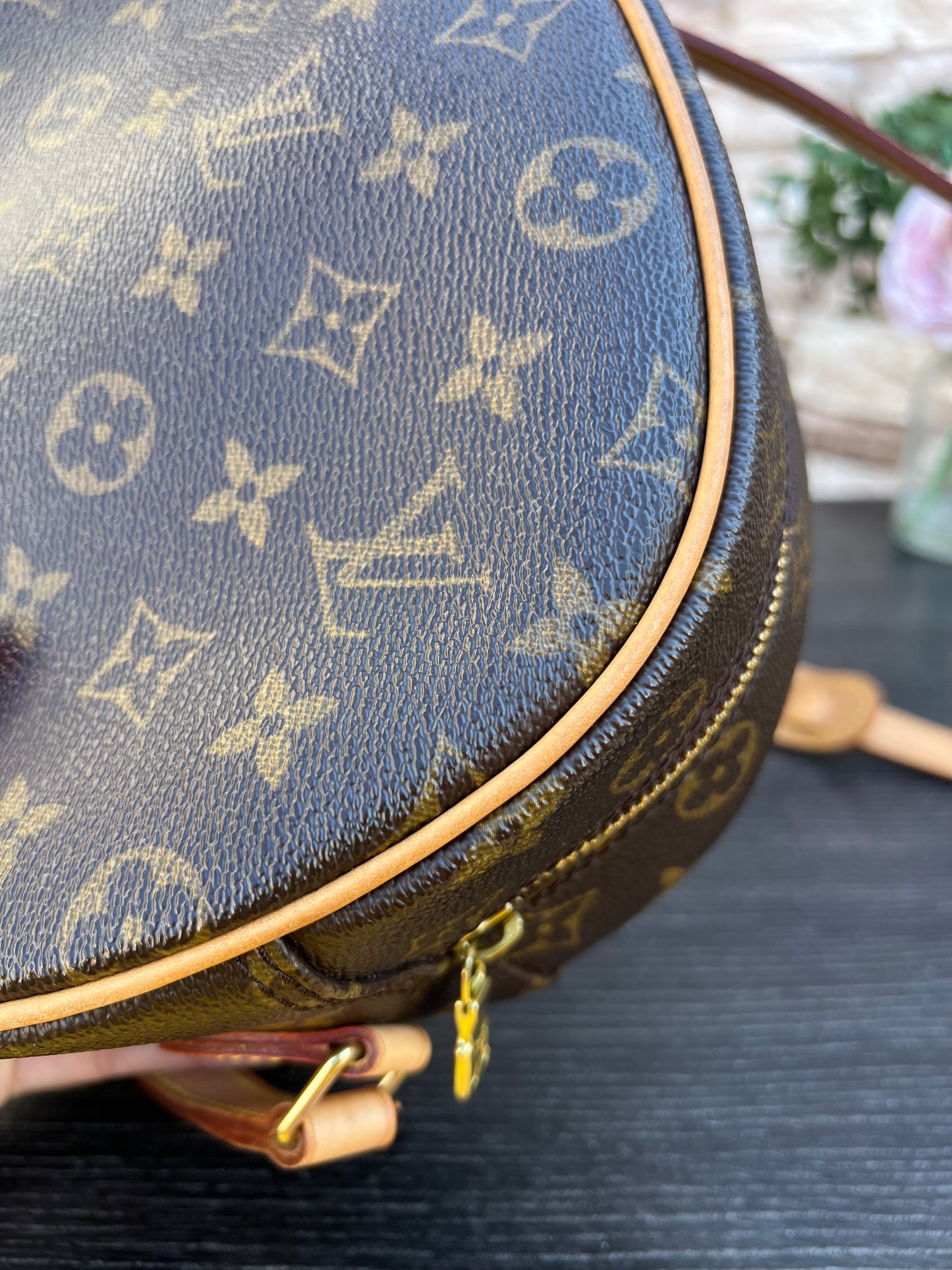 Blois Monogram Crossbody Bag
