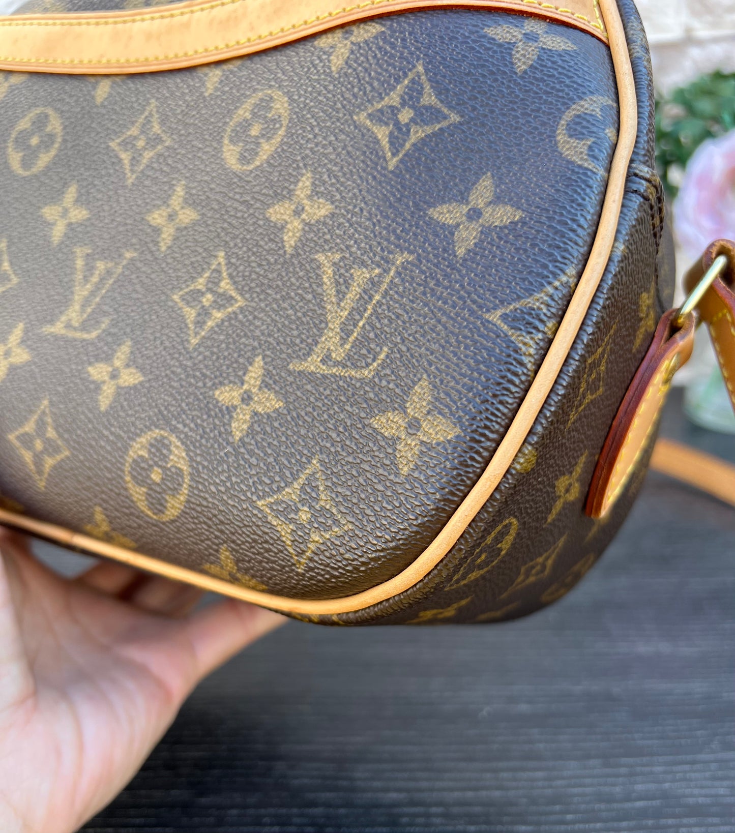 Blois Monogram Crossbody Bag