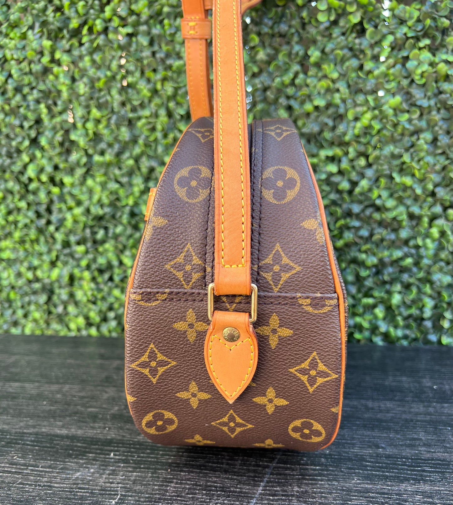Blois Monogram Canvas Bag