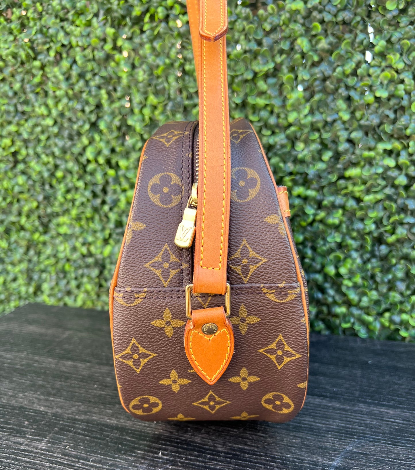 Blois Monogram Canvas Bag