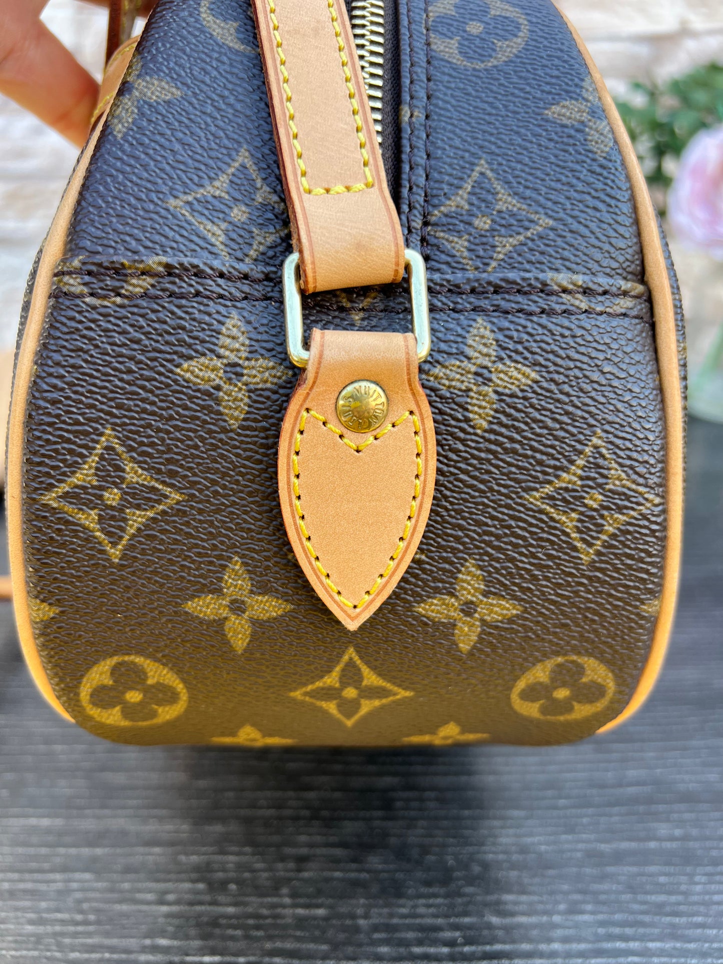 Blois Monogram Crossbody Bag