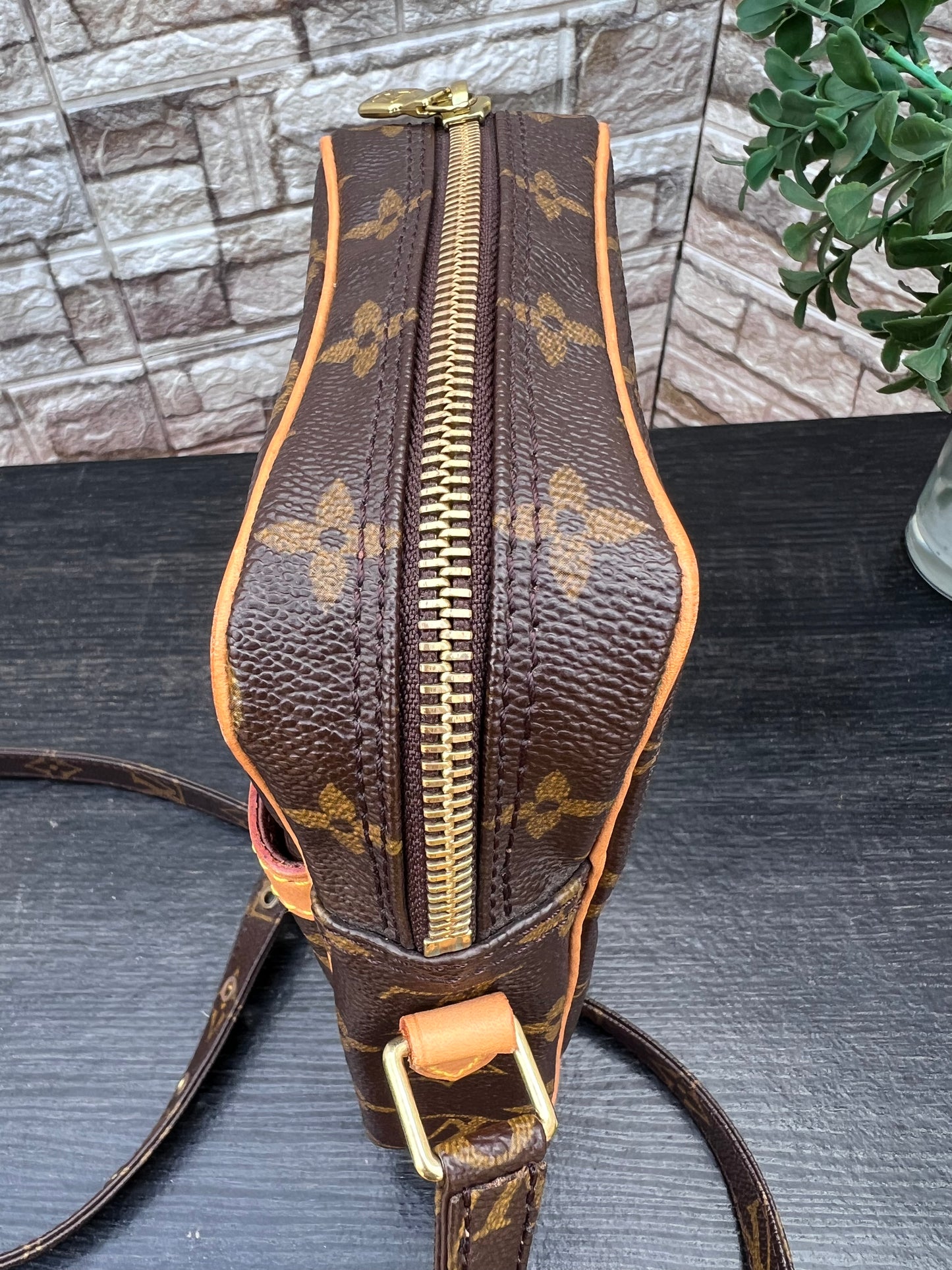 Danube PM Crossbody Monogram Canvas