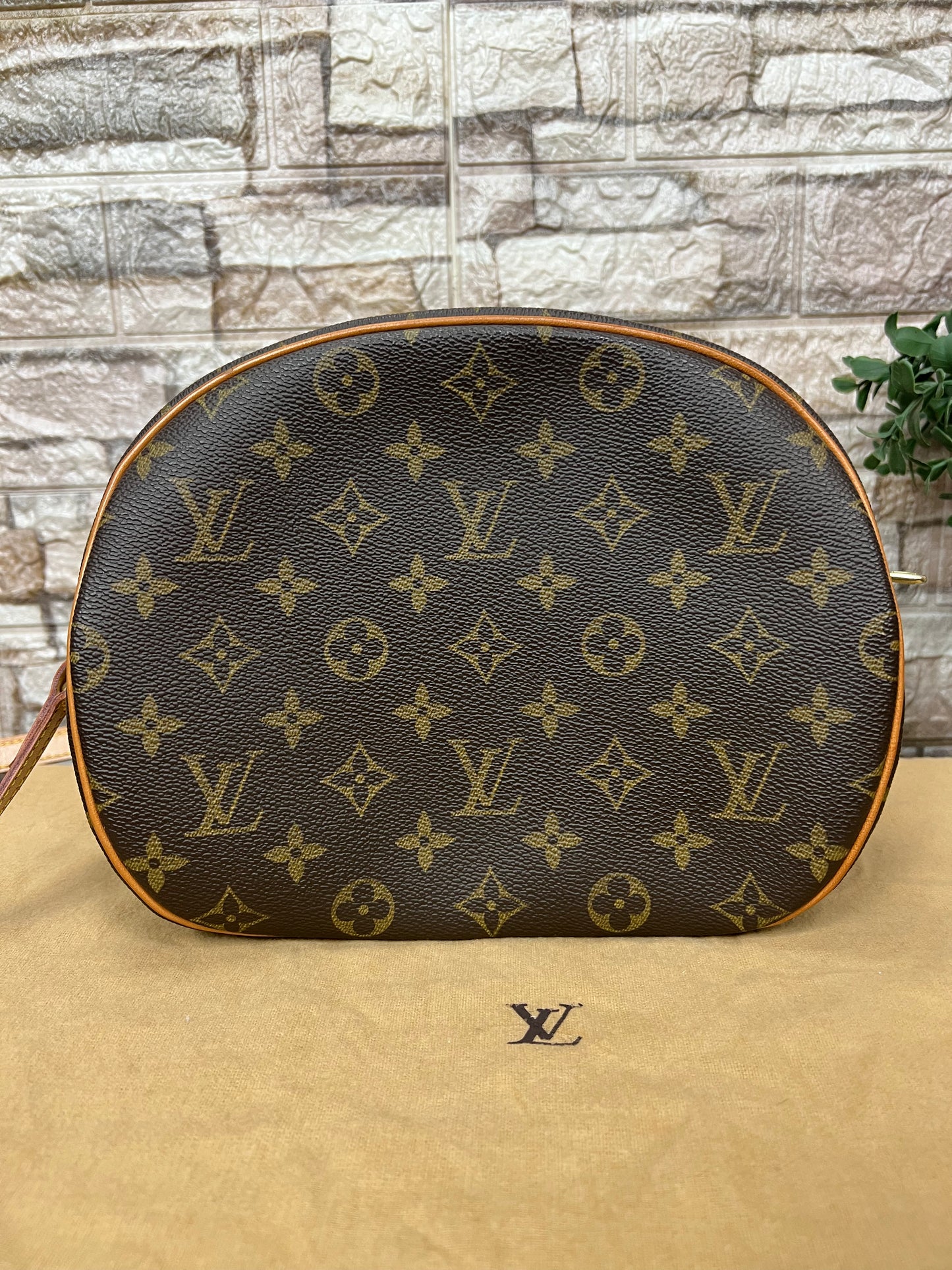 Blois Monogram Crossbody Bag