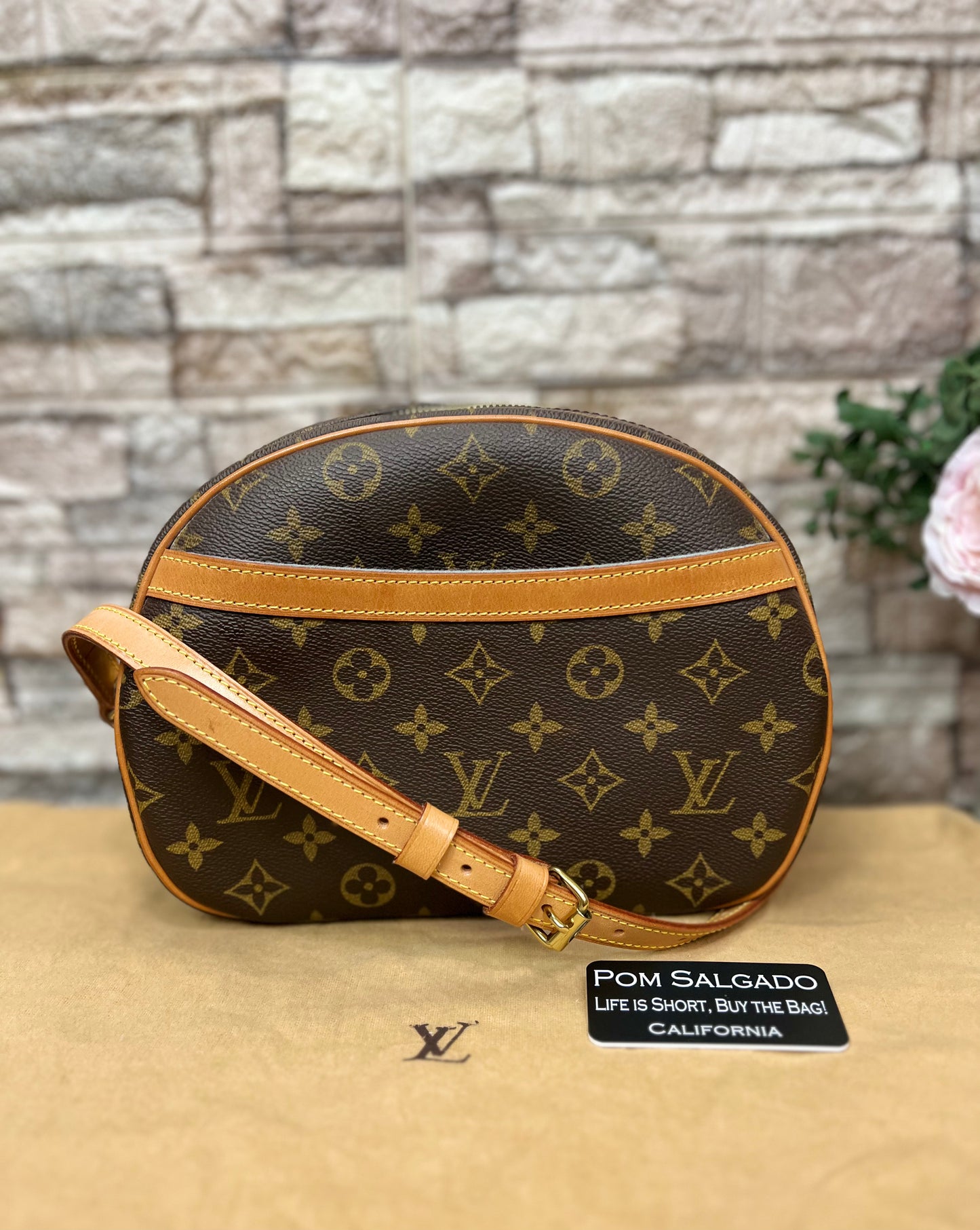 Blois Monogram Crossbody Bag