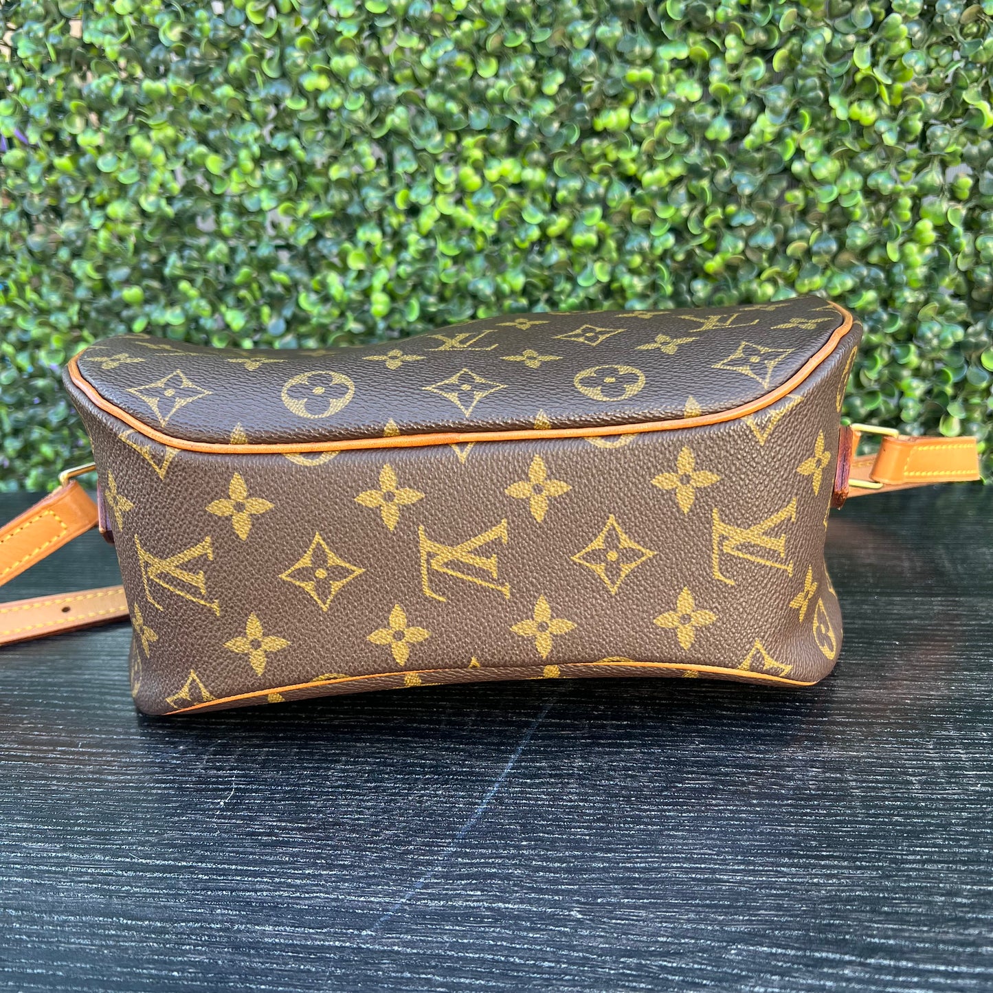 Blois Monogram Canvas Bag