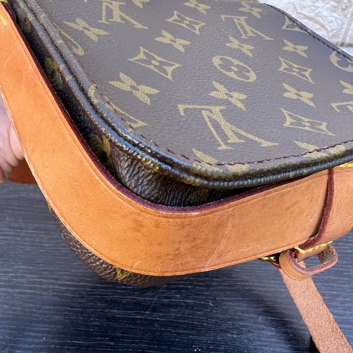 Cartouchiere PM Crossbody Bag