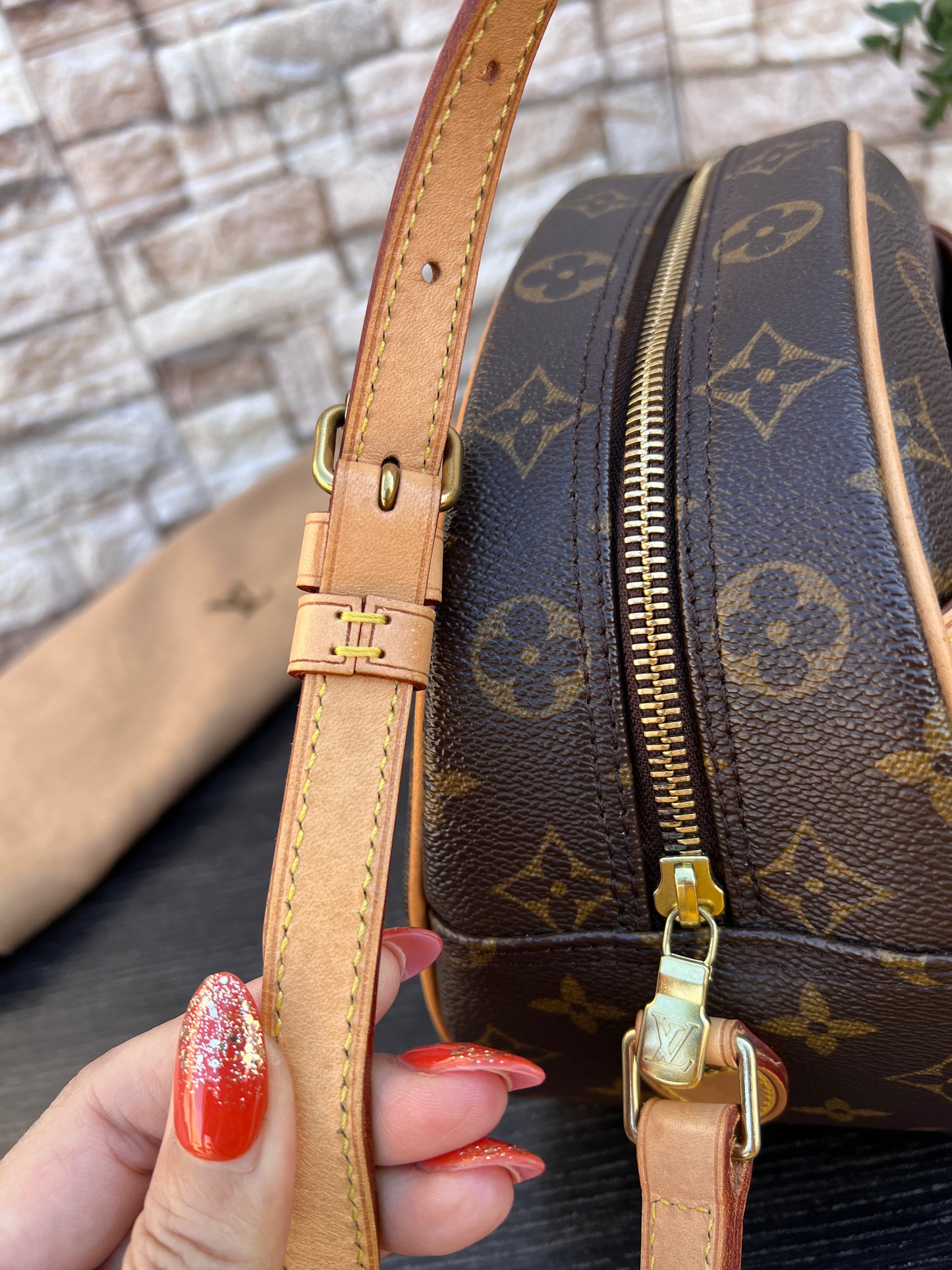 Blois Monogram Crossbody Bag