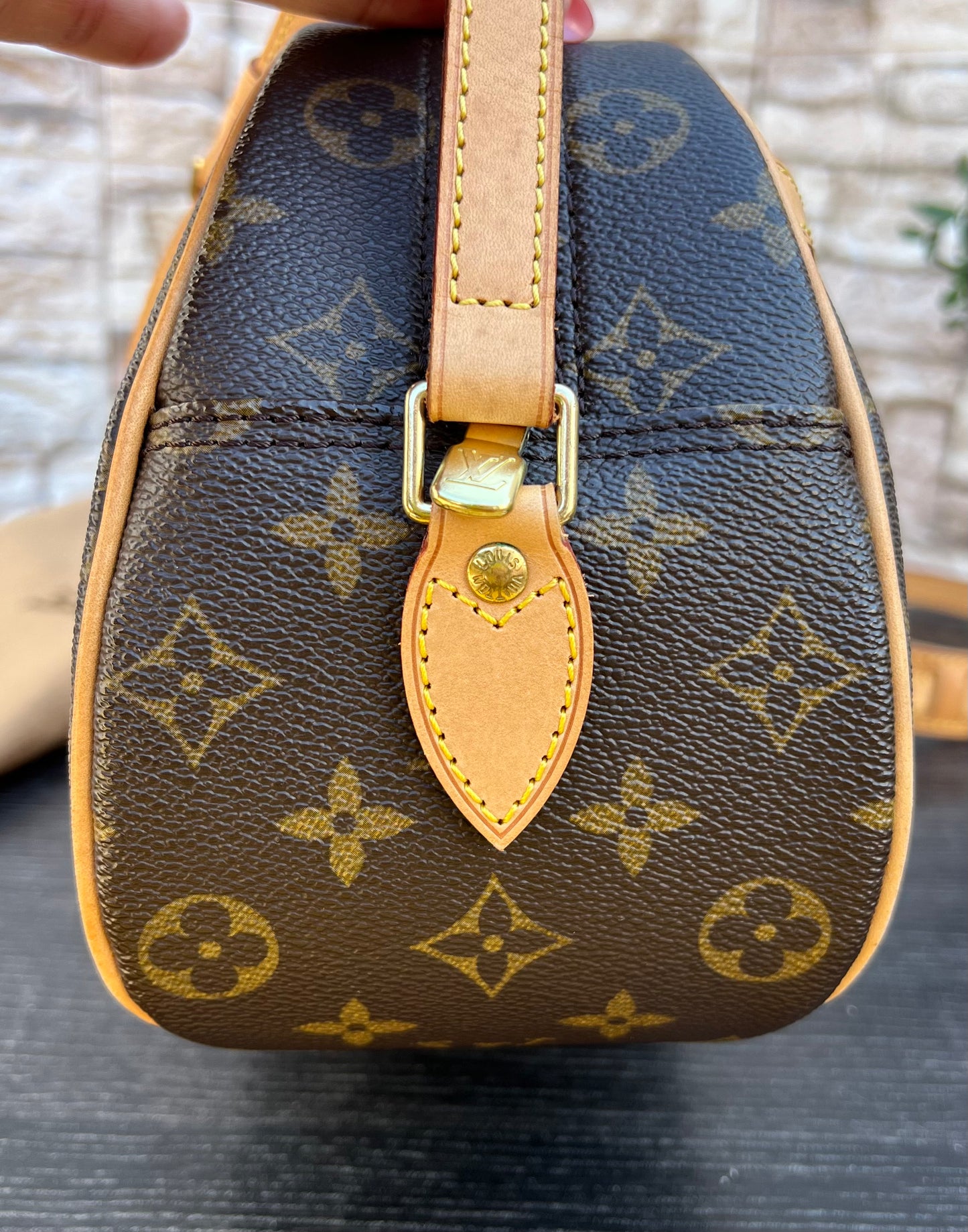 Blois Monogram Crossbody Bag