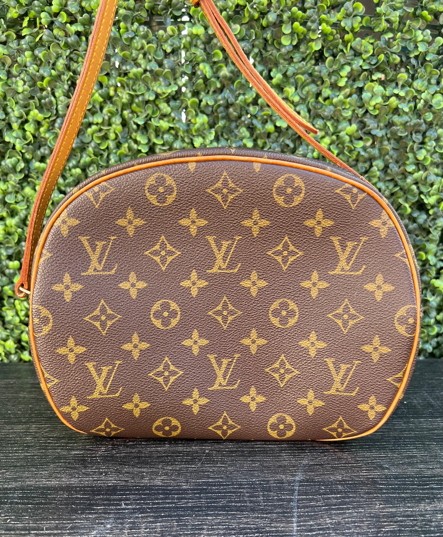 Blois Monogram Canvas Bag