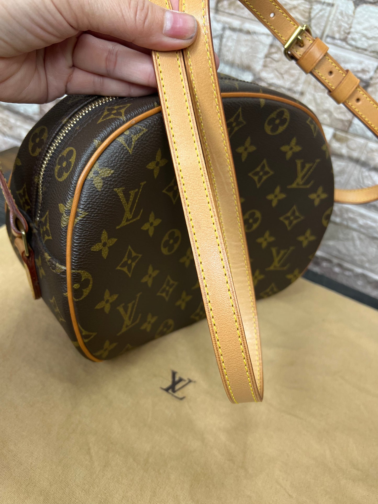 Blois Monogram Crossbody Bag