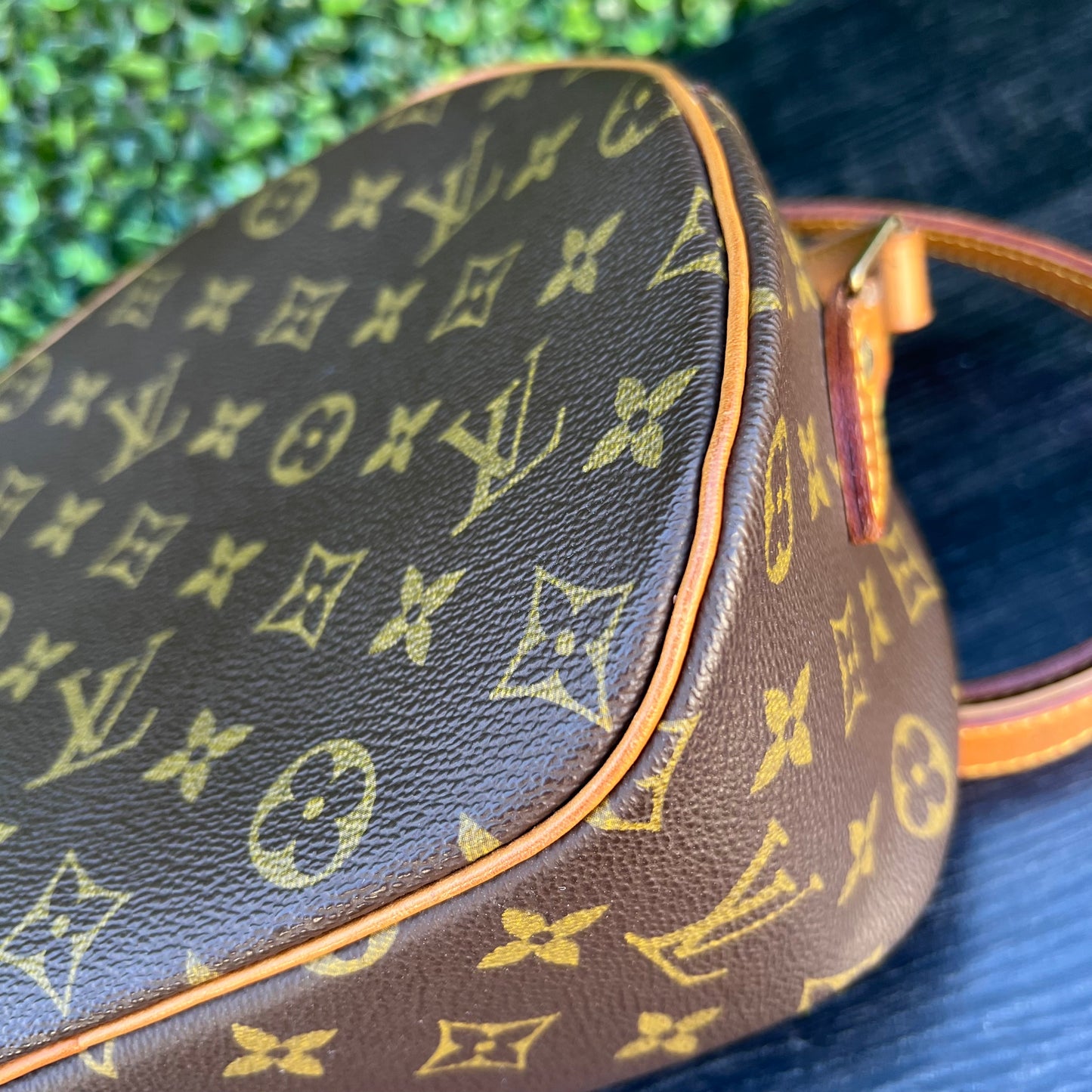 Blois Monogram Canvas Bag