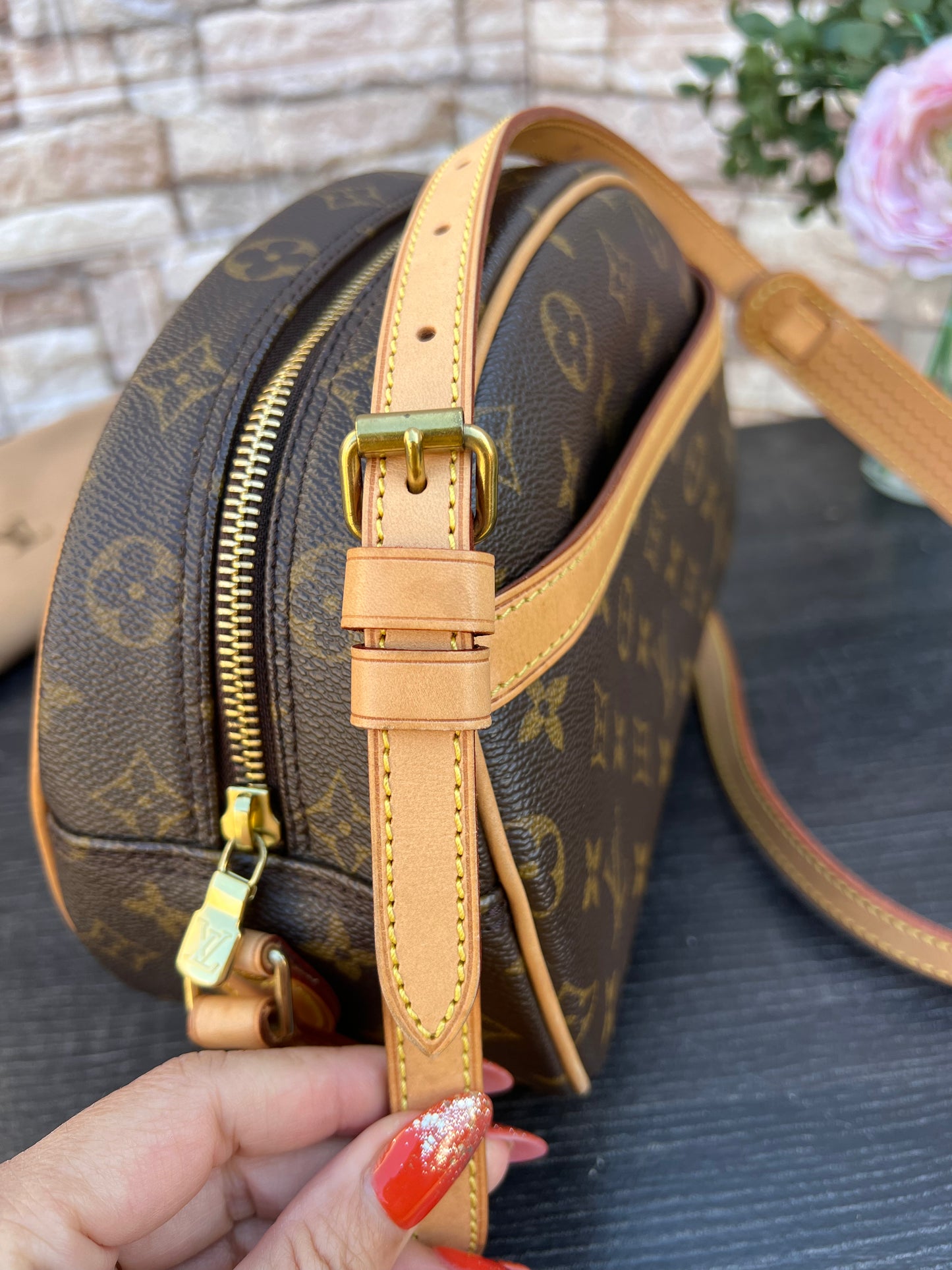 Blois Monogram Crossbody Bag
