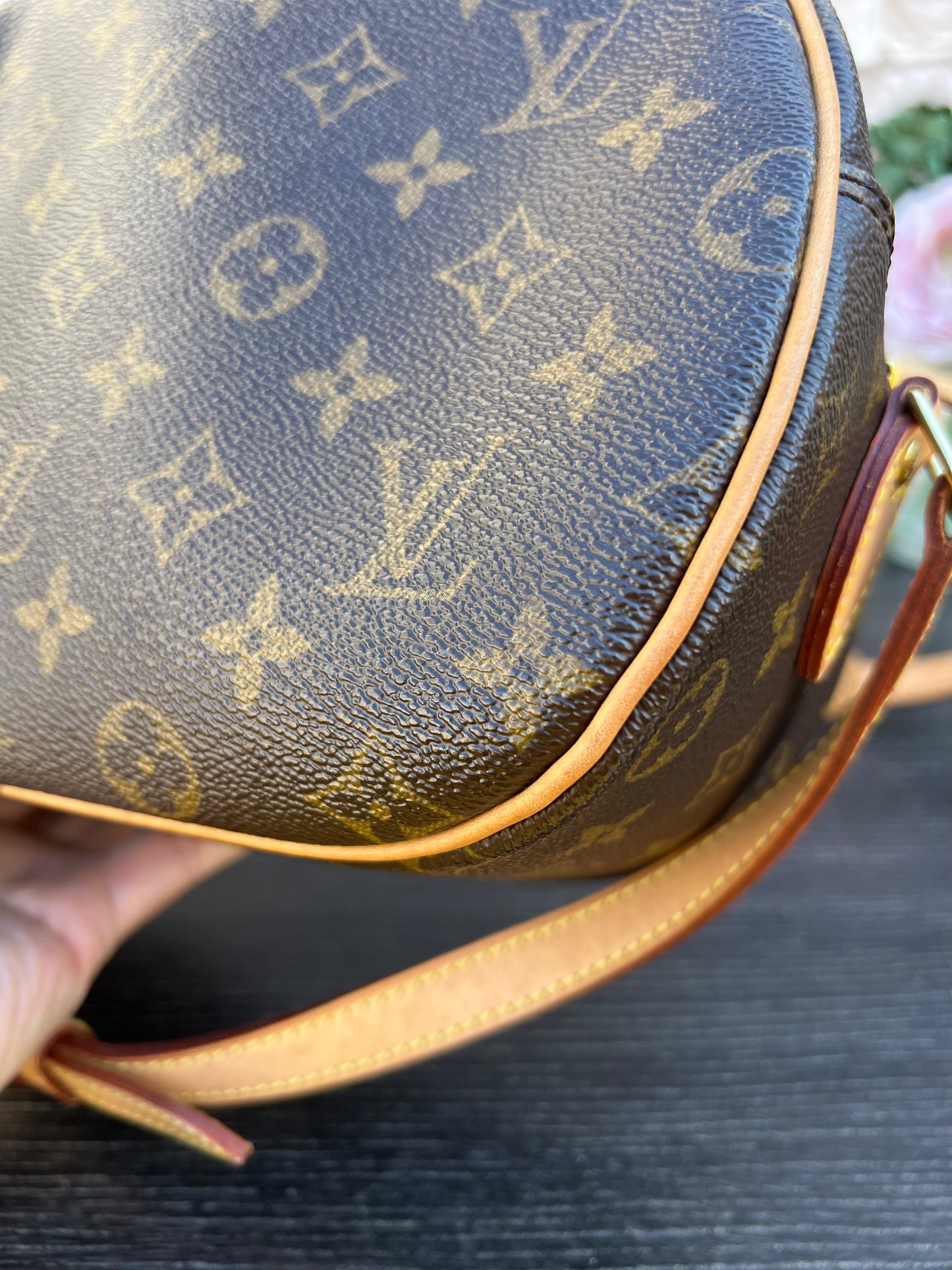 Blois Monogram Crossbody Bag
