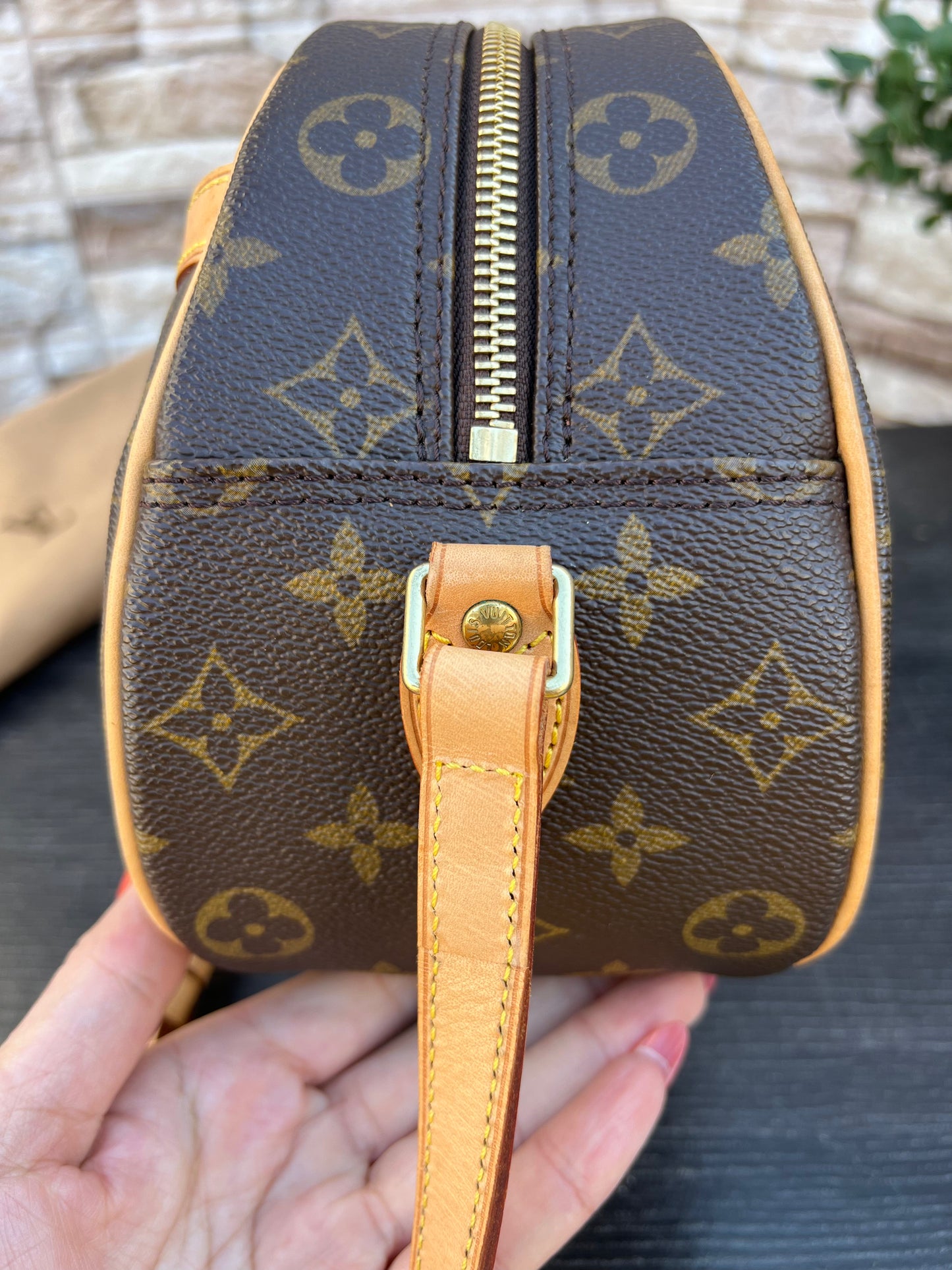 Blois Monogram Crossbody Bag