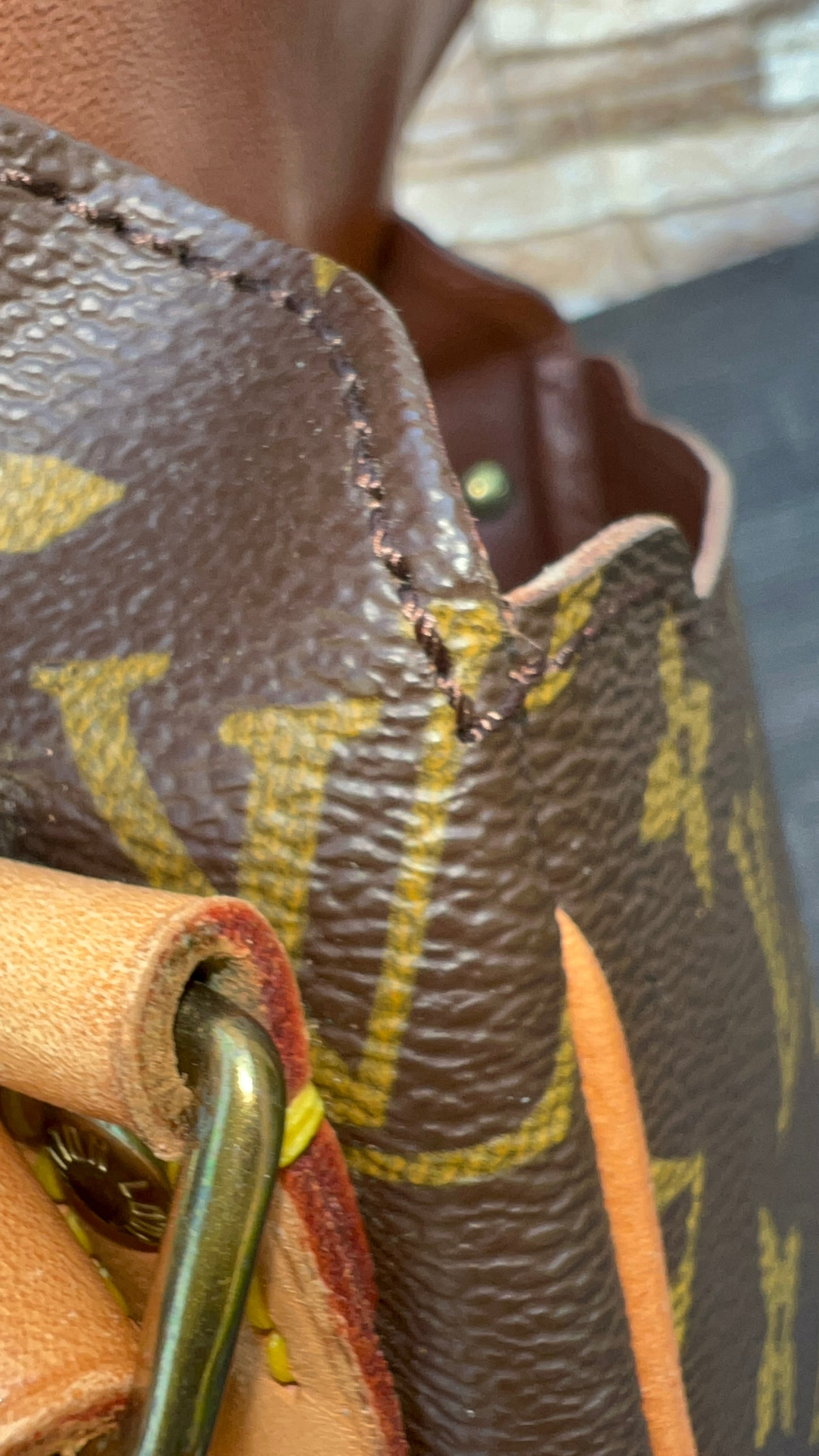 Cartouchiere PM Crossbody Bag