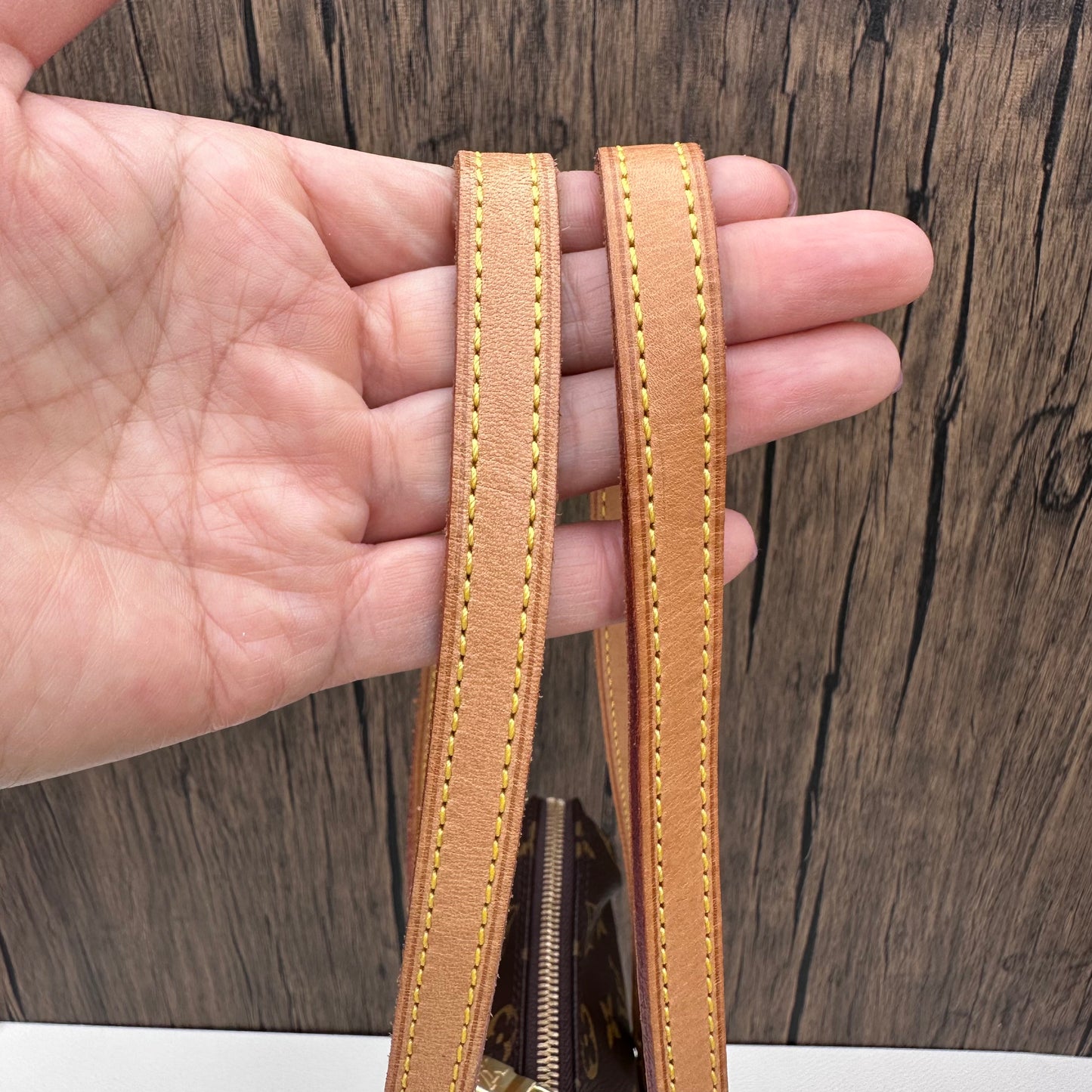 Louis Vuitton Sac Coussin GM Monogram Canvas