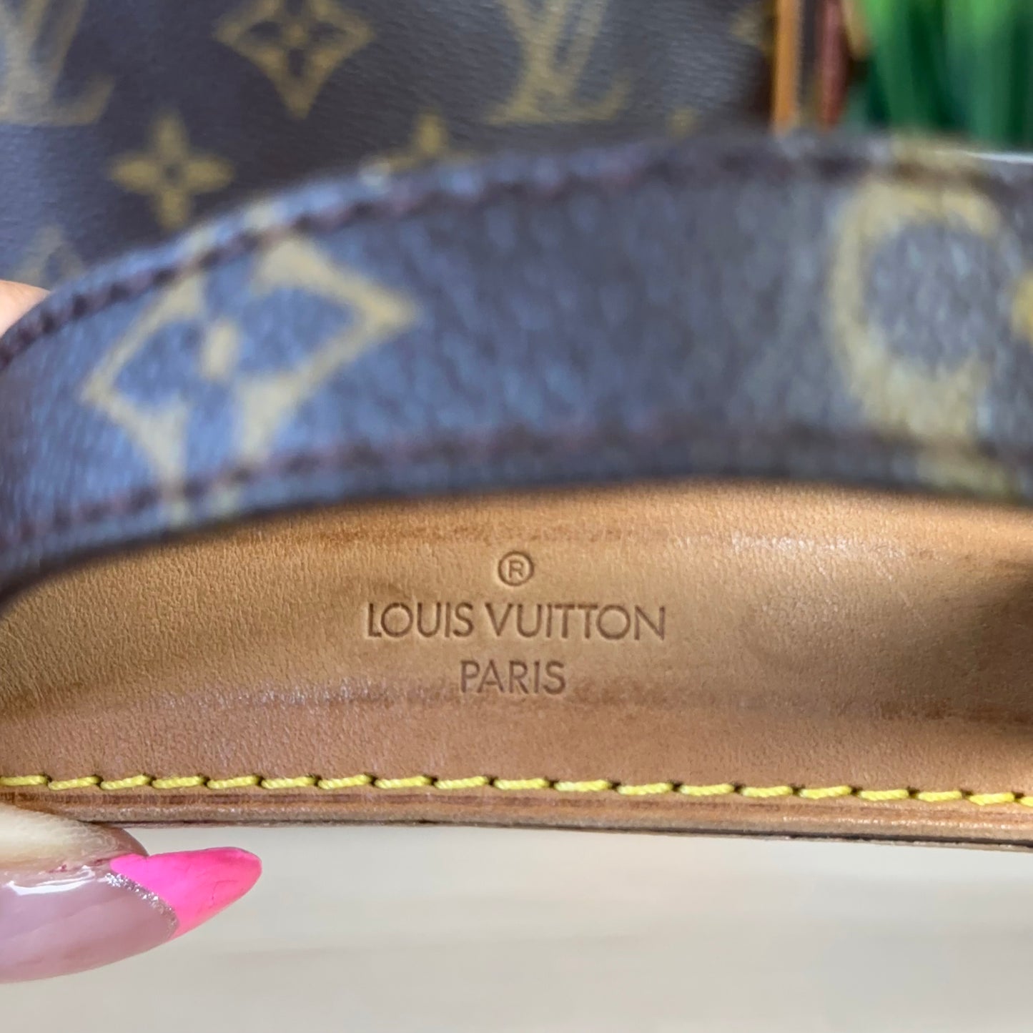 Authentic Preowned Louis Vuitton Danube PM Crossbody