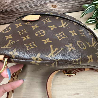 Louis Vuitton Monogram Bum Bag