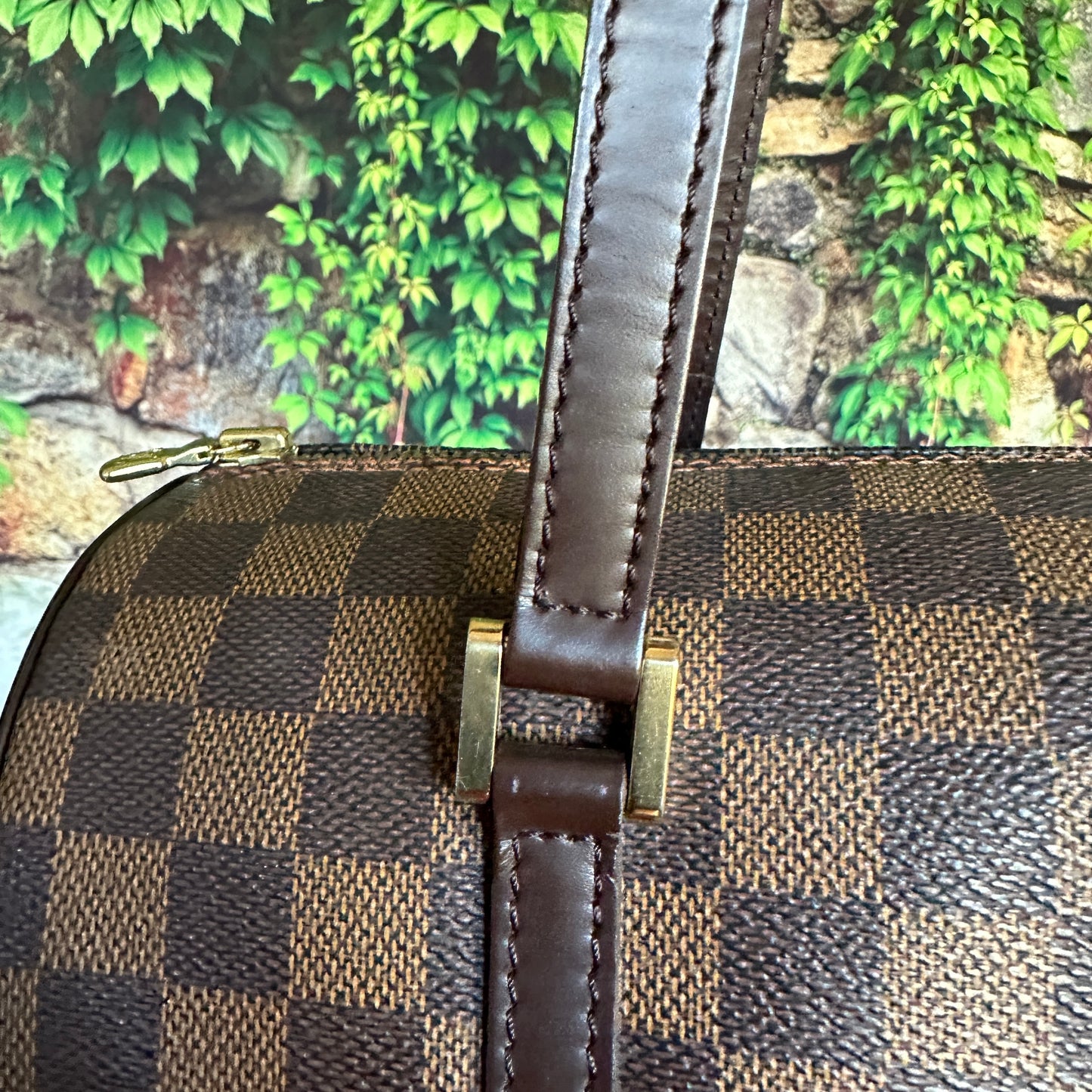 Louis Vuitton Damier Ebene Papillon 30