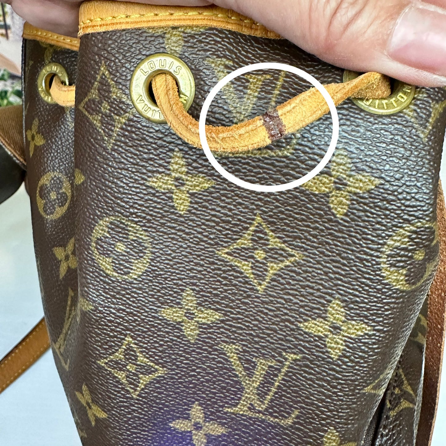 Louis Vuitton Montsouris MM Backpack