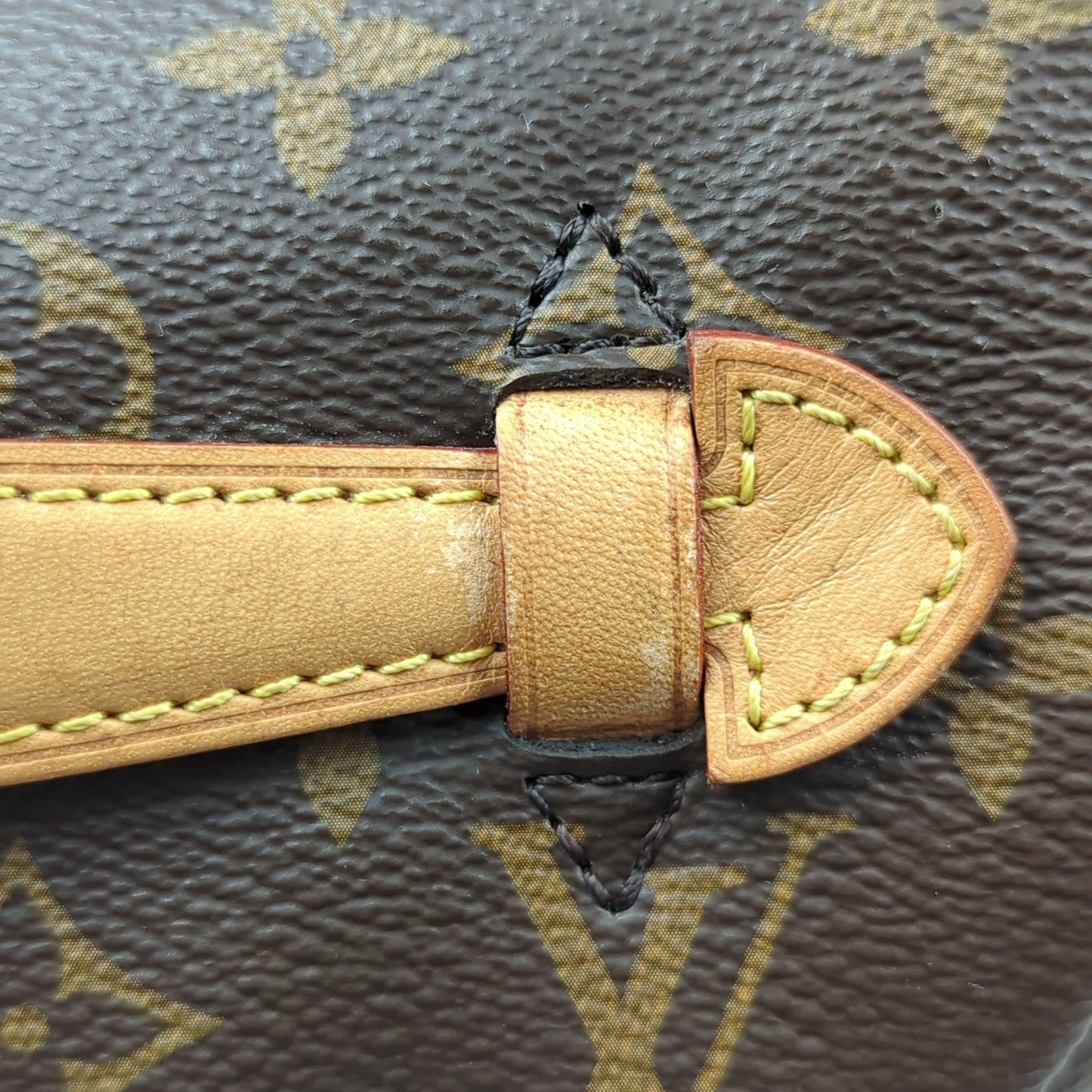 Louis Vuitton Monogram Bum Bag