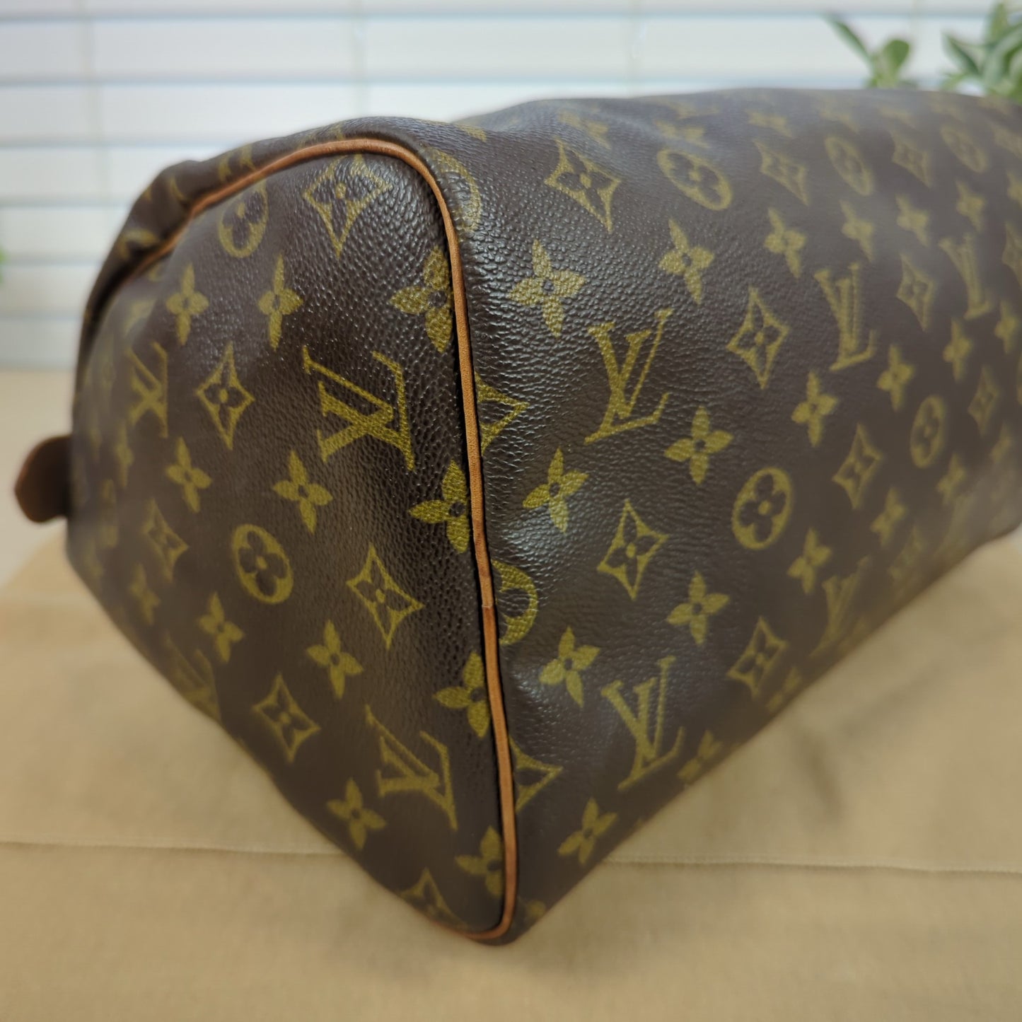 Louis Vuitton Monogram Speedy 30