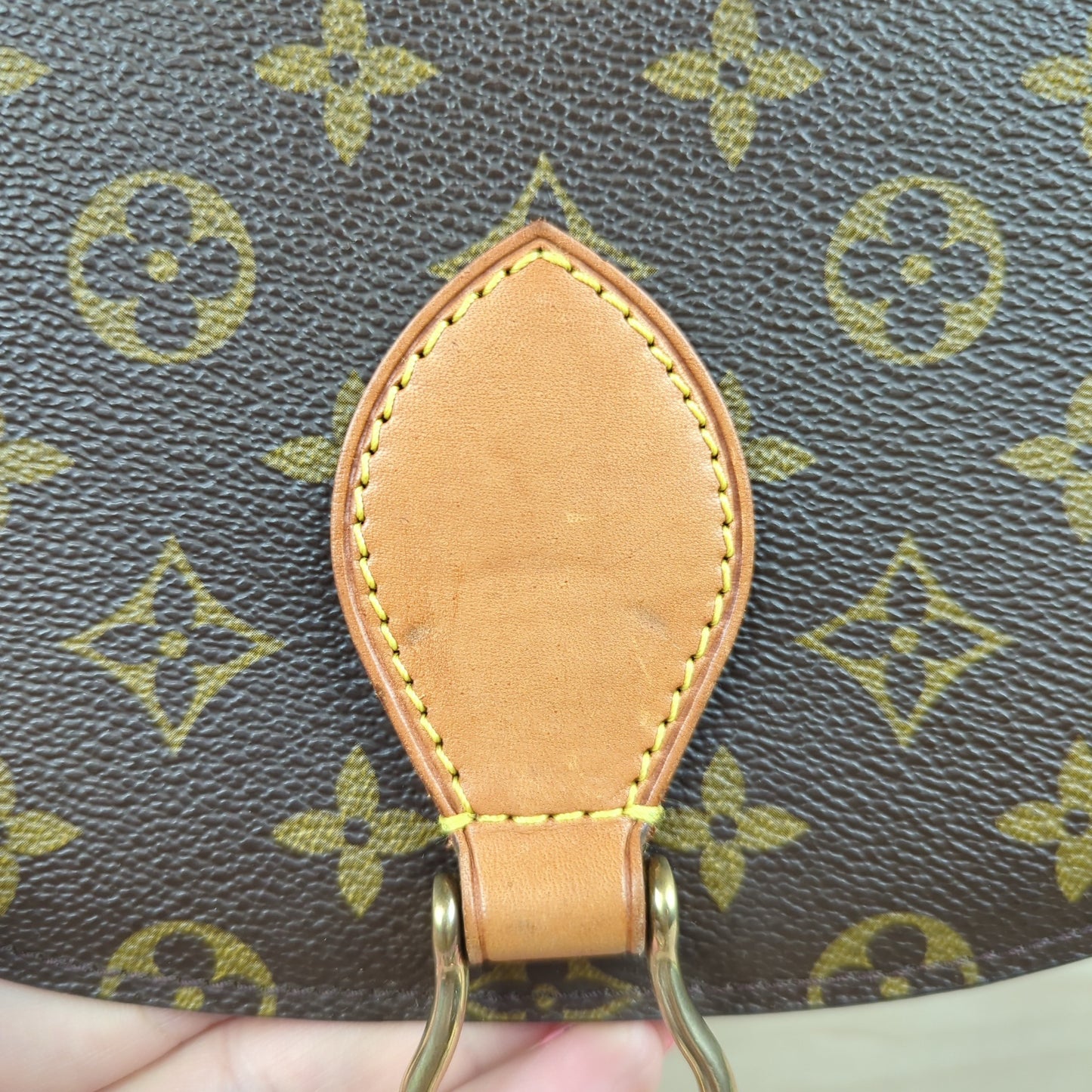 Louis Vuitton Saint Cloud GM Monogram Crossbody Bag