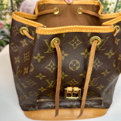 Louis Vuitton Montsouris MM Backpack