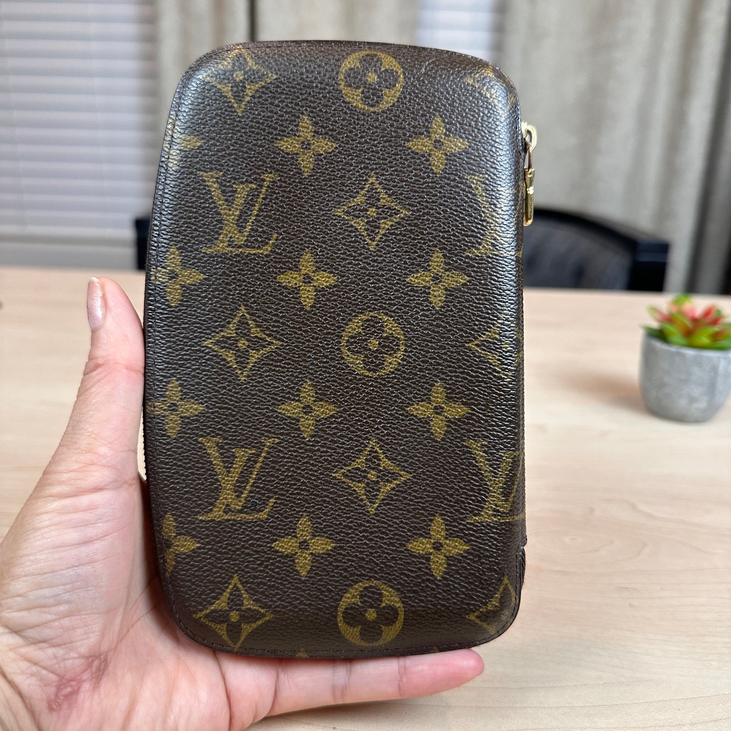 Louis Vuitton Geode Wallet